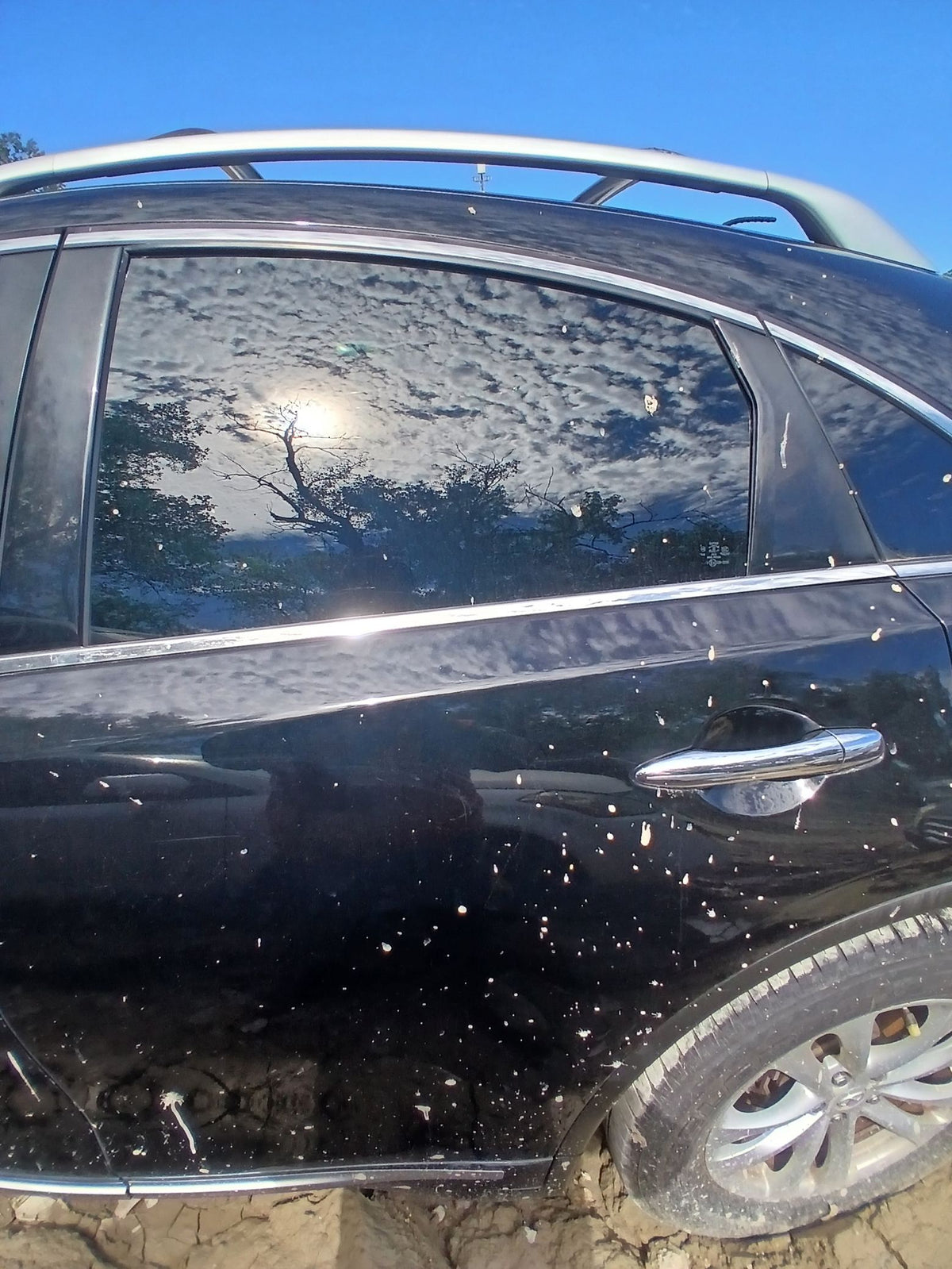 CA_VEHICLE_MEDIA:13323210272:3326908738