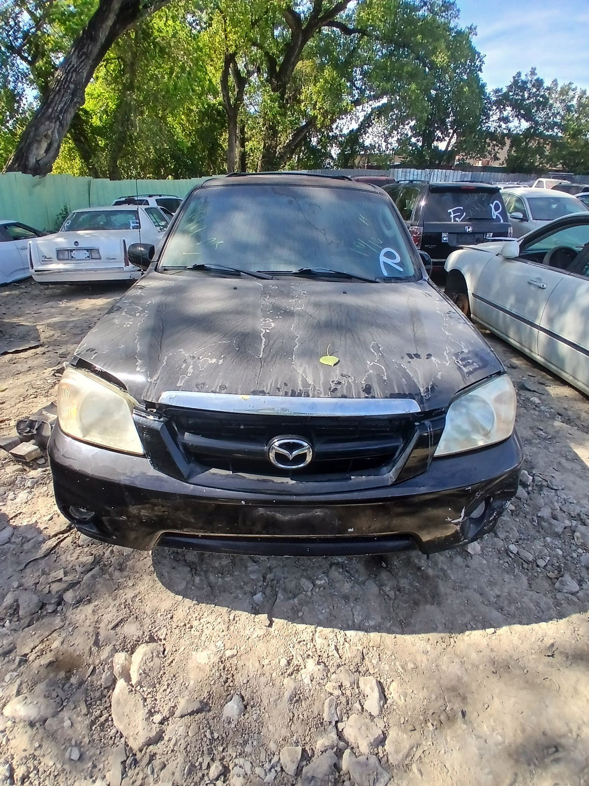CA_VEHICLE_MEDIA:13382577285:3343173011