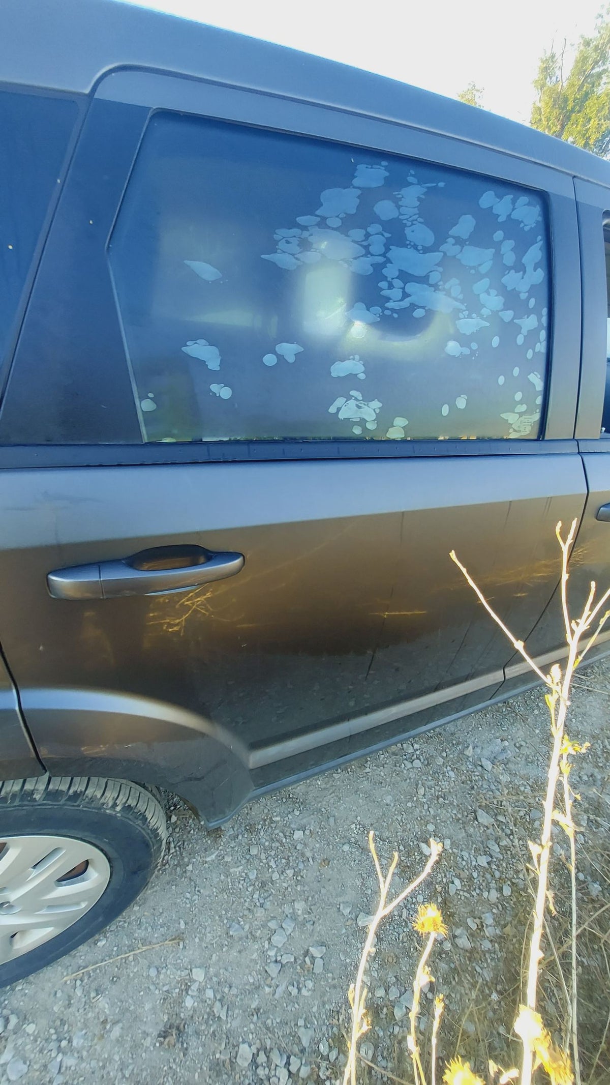 CA_VEHICLE_MEDIA:13382577404:3342053109