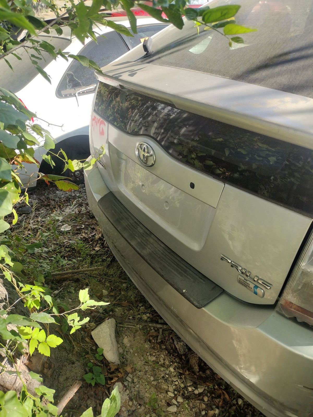 CA_VEHICLE_MEDIA:13382589784:3342427051