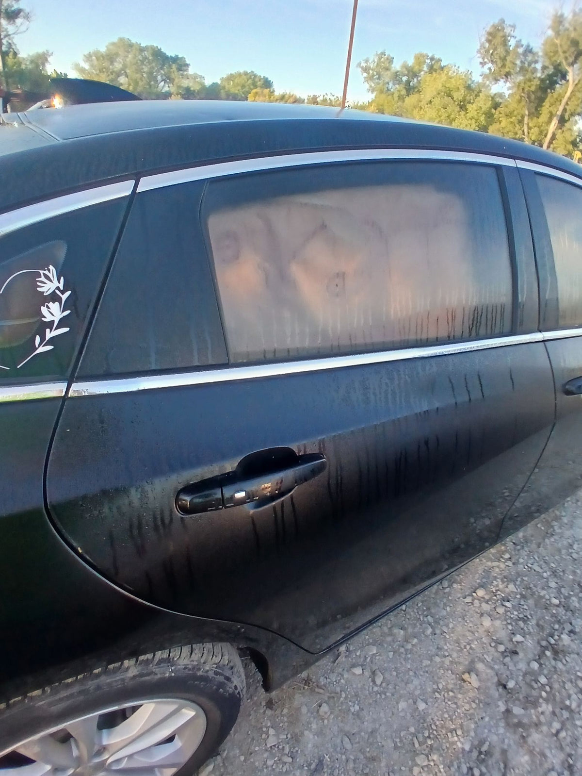 CA_VEHICLE_MEDIA:13382605916:3342051166