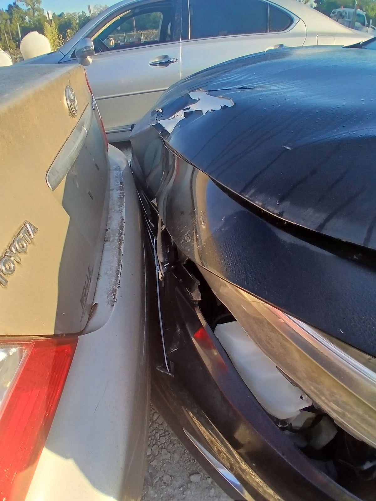 CA_VEHICLE_MEDIA:13382605916:3342068575