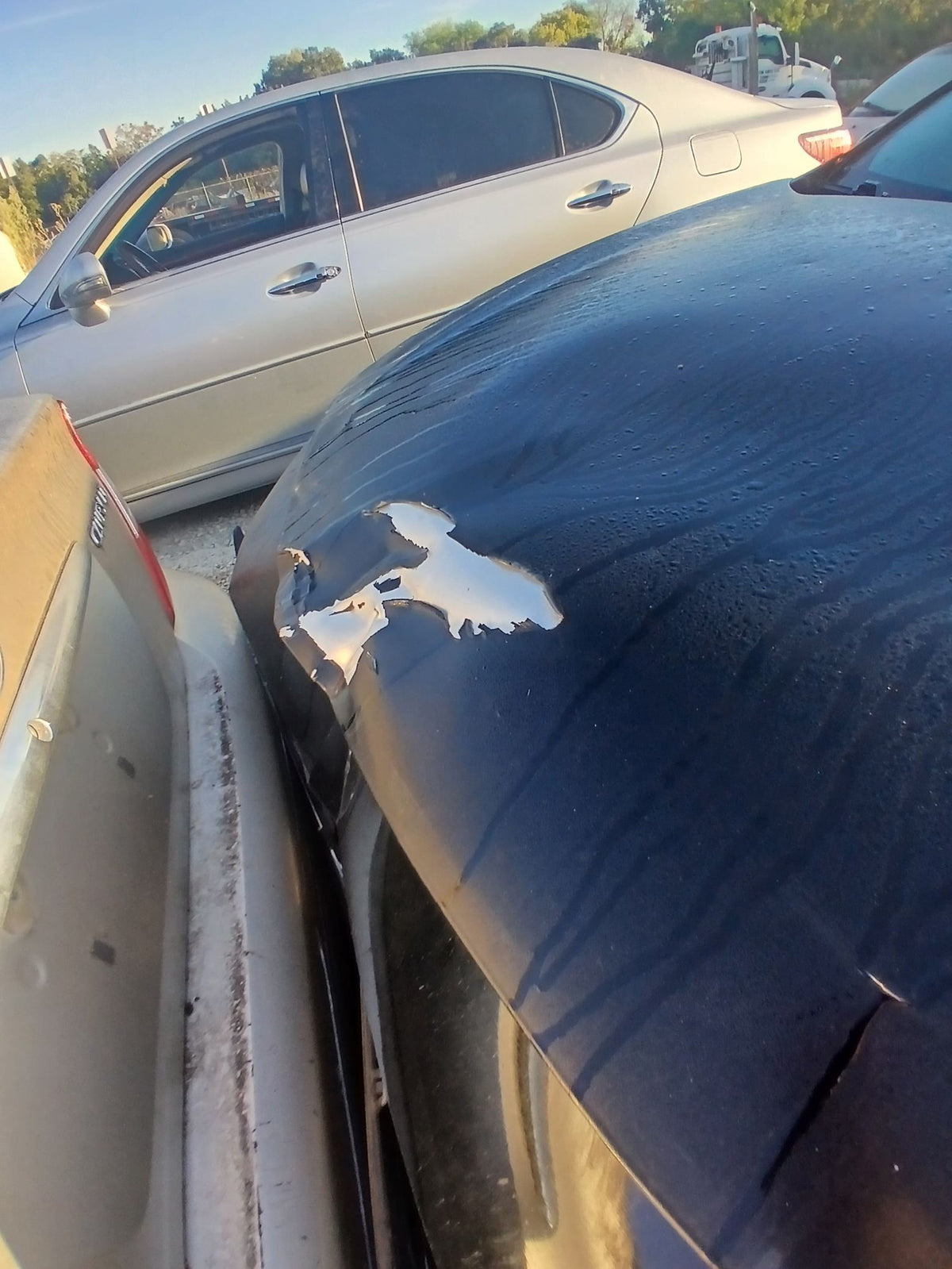 CA_VEHICLE_MEDIA:13382605916:3342069016