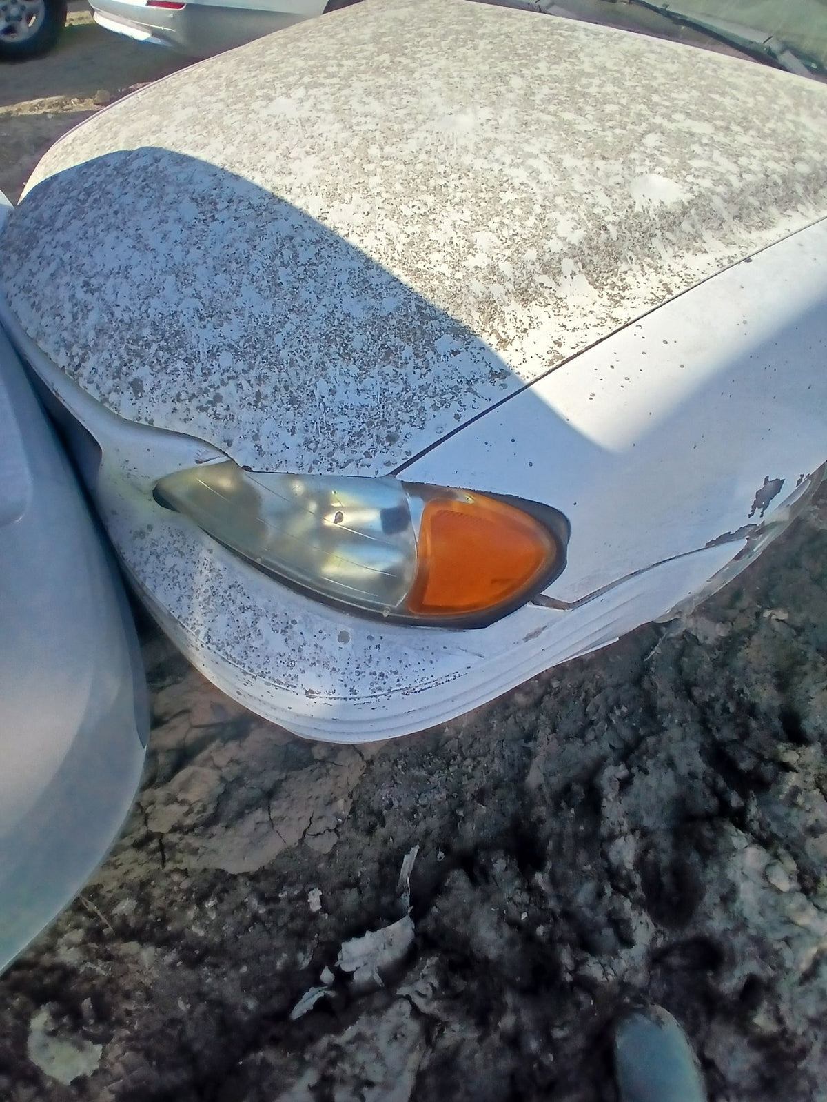 CA_VEHICLE_MEDIA:13382655696:3342416008