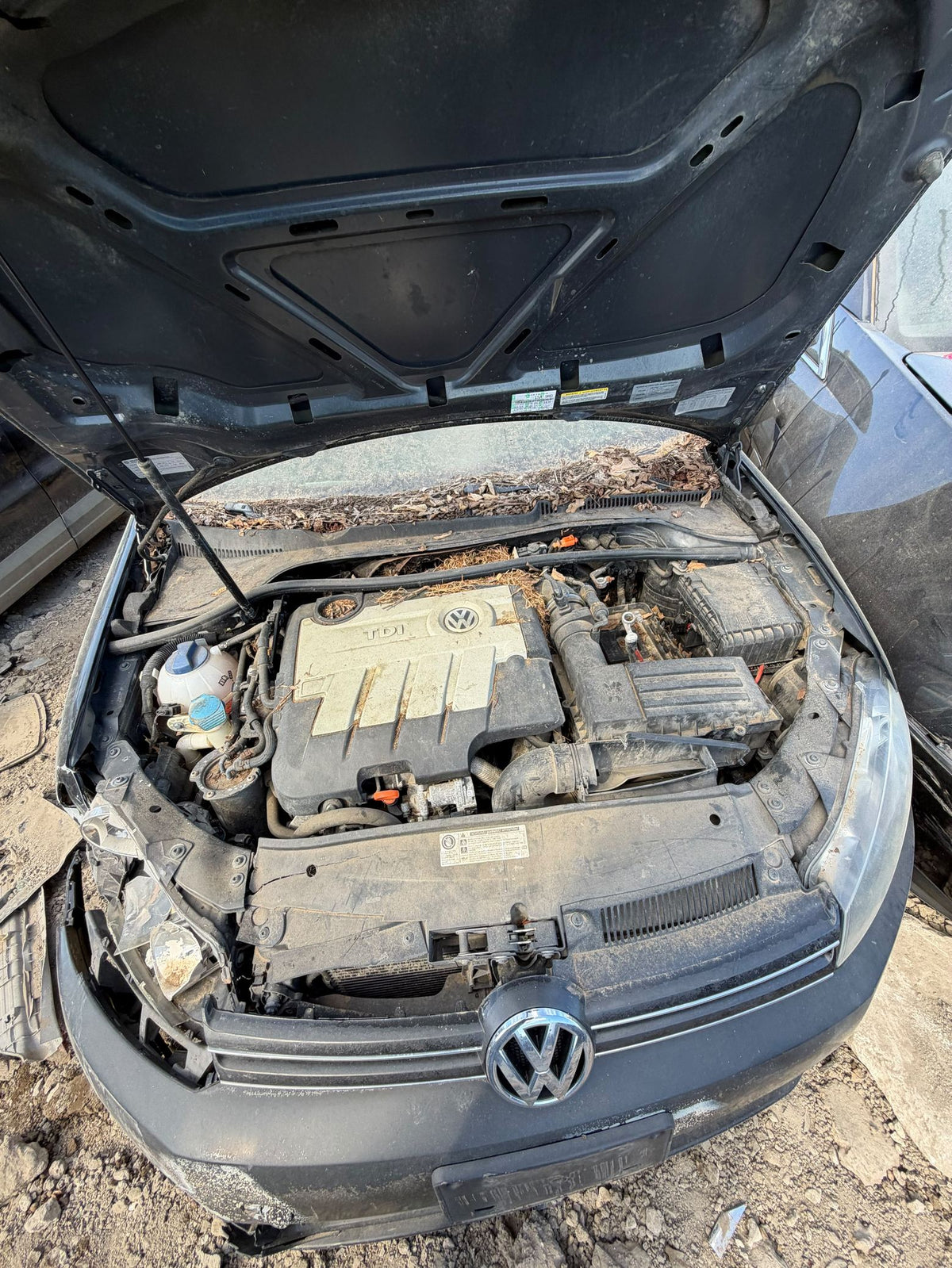 CA_VEHICLE_MEDIA:13382767931:3349235837