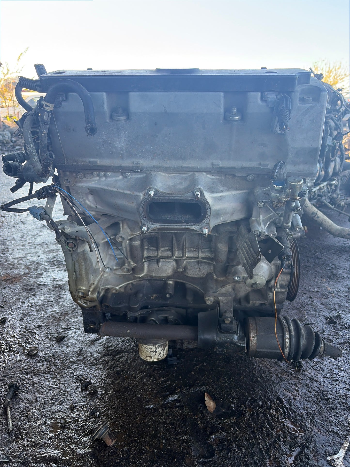 2009-2014 ACURA TSX 2.4 L ENGINE - #M17728