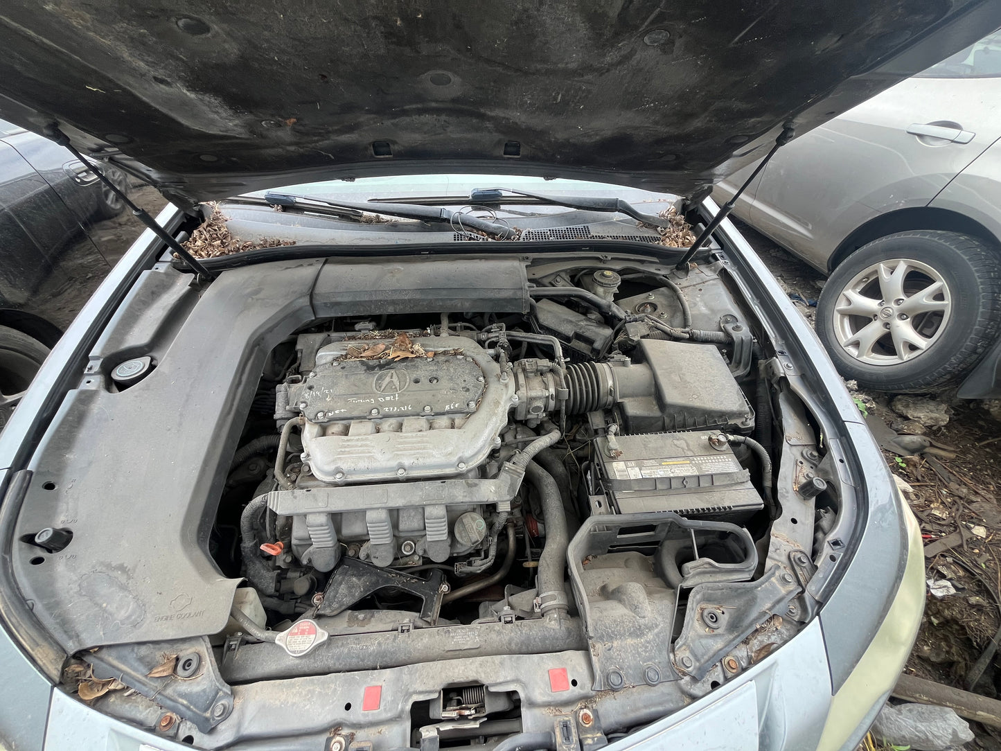 2010 Acura TL - Stock #: M18764 - MS-14