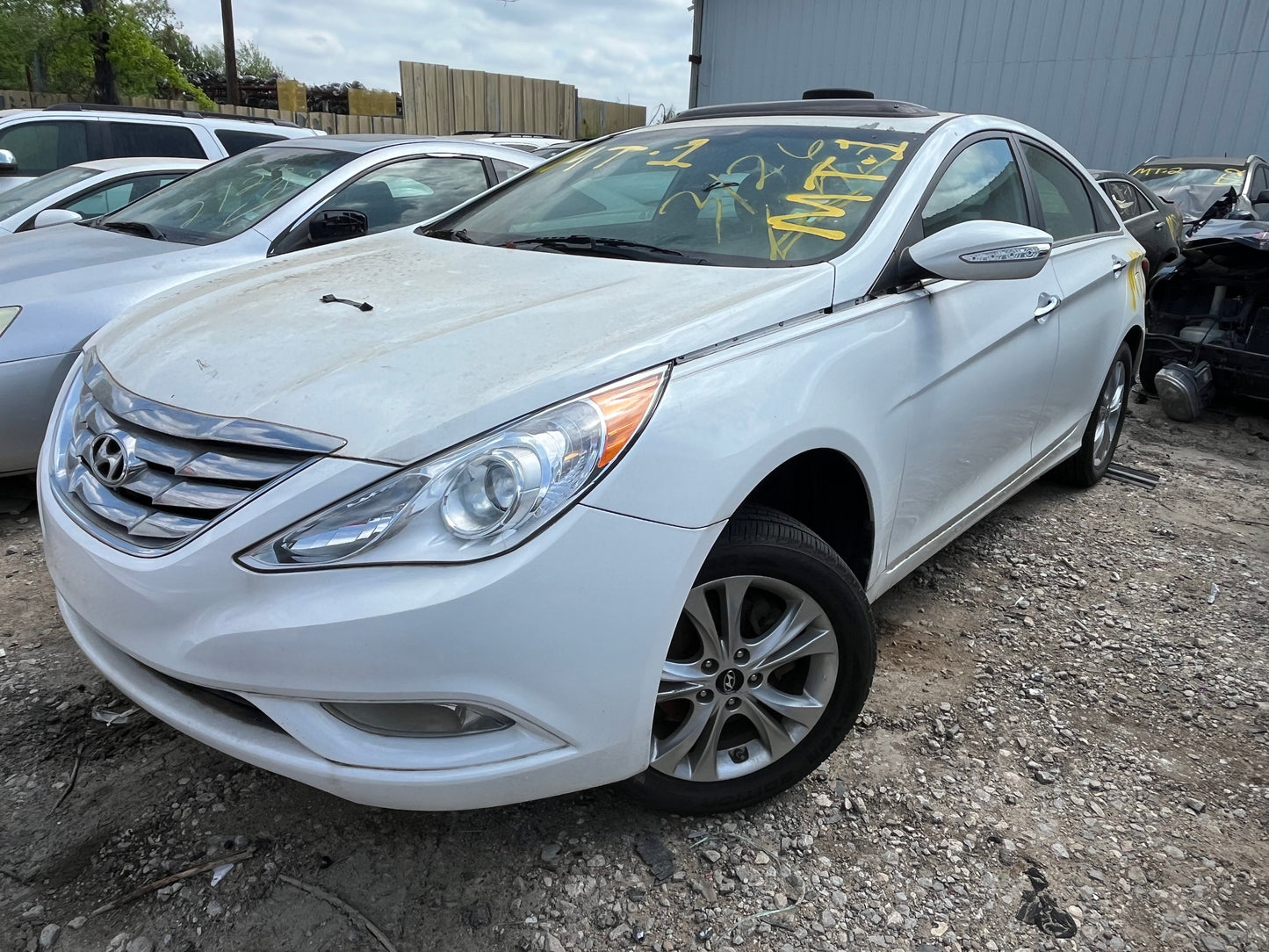 2013 HYUNDAI SONATA - STOCK #M18771