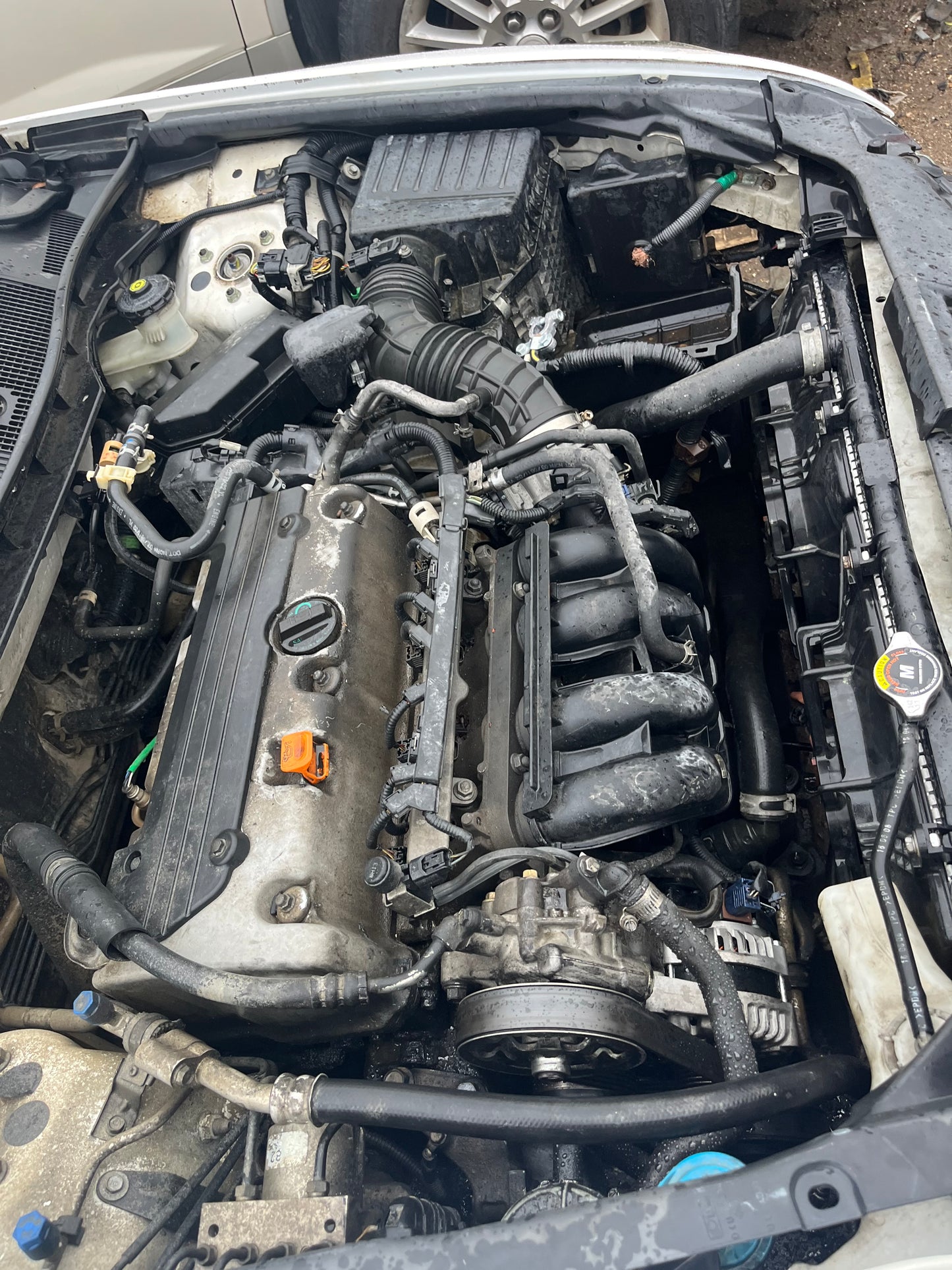2008-2010 Honda Accord - Stock #: M18891