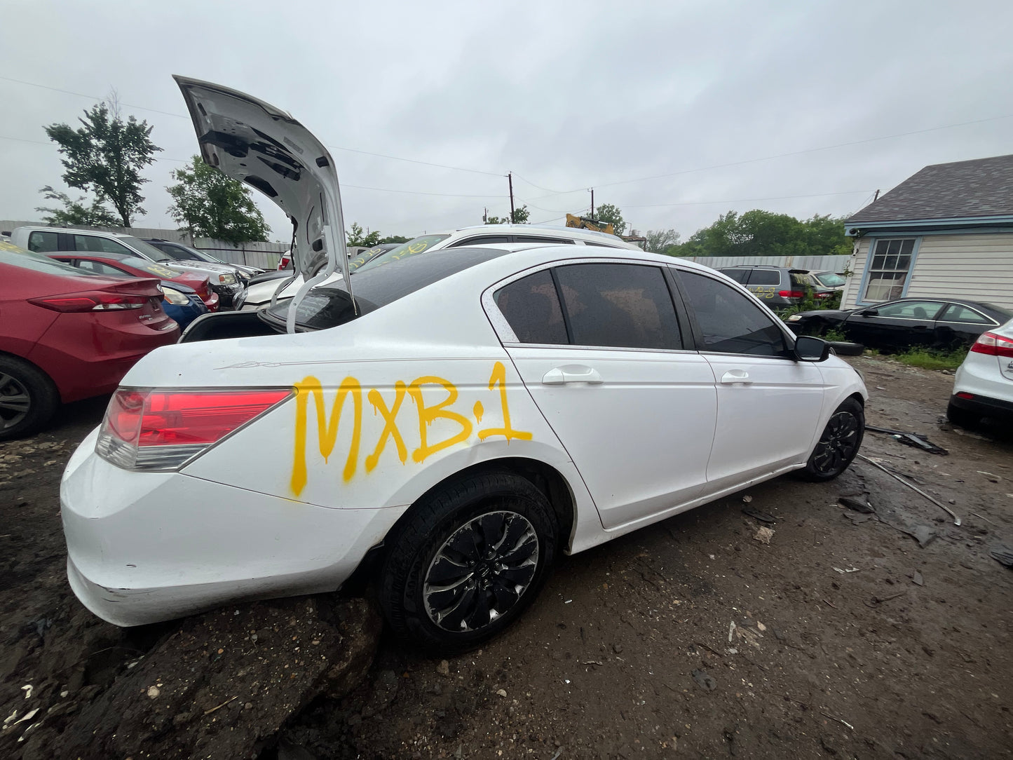 2008-2010 Honda Accord - Stock #: M18891