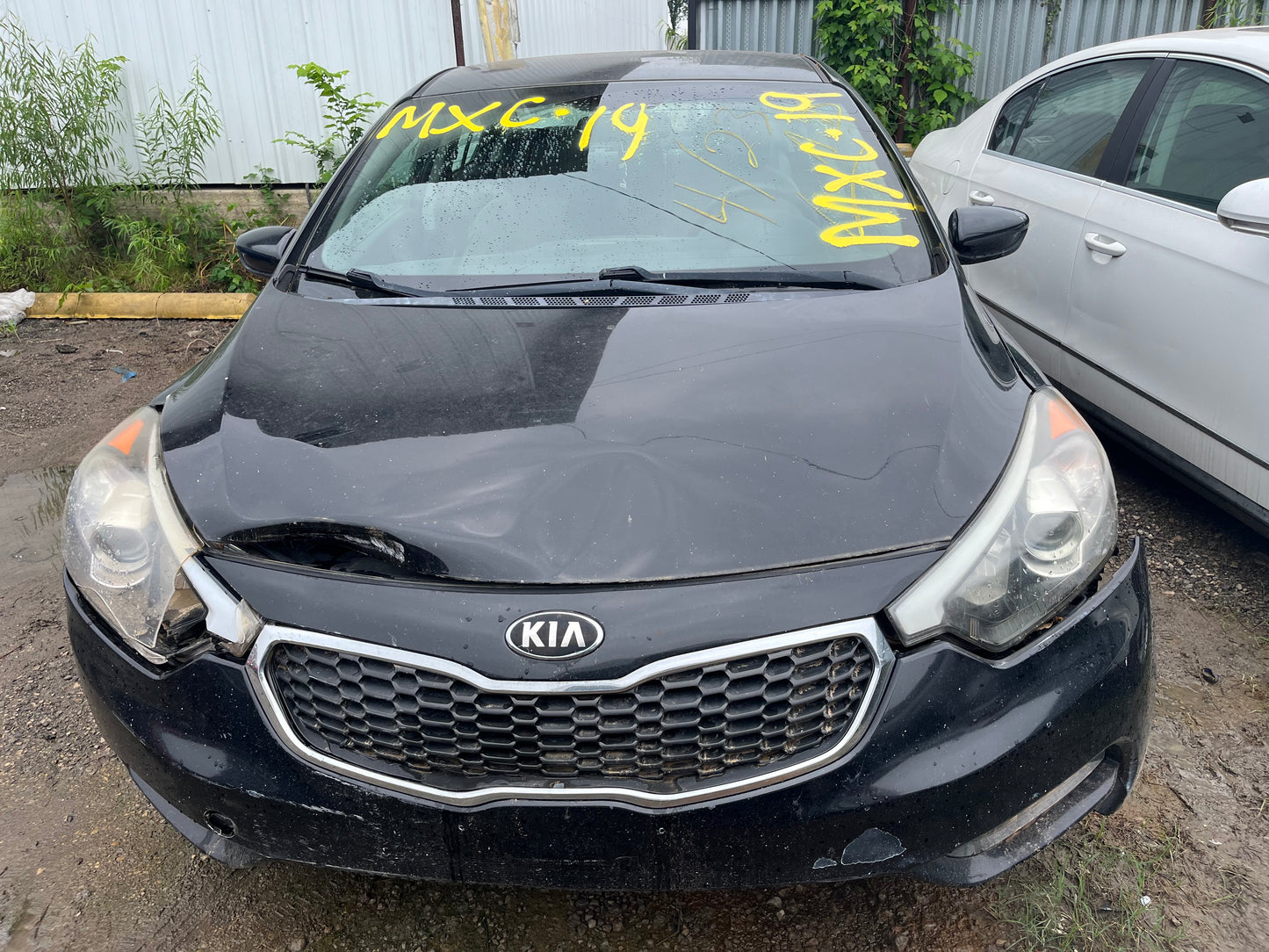 2014 - 2016 Kia Forte - Stock #: M18929 MXC-19