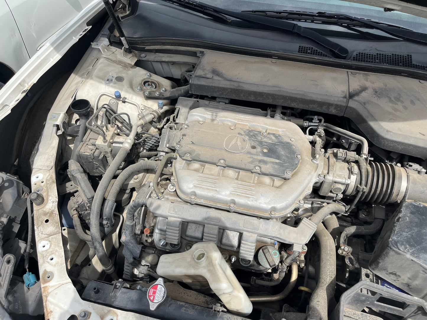 2009-2011 Acura TL - Stock #: M18958