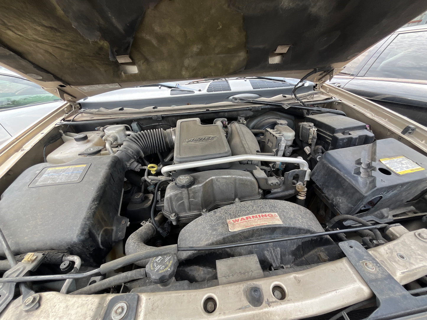 2006-2009 Chevrolet Trailblazer - Stock #: M18994