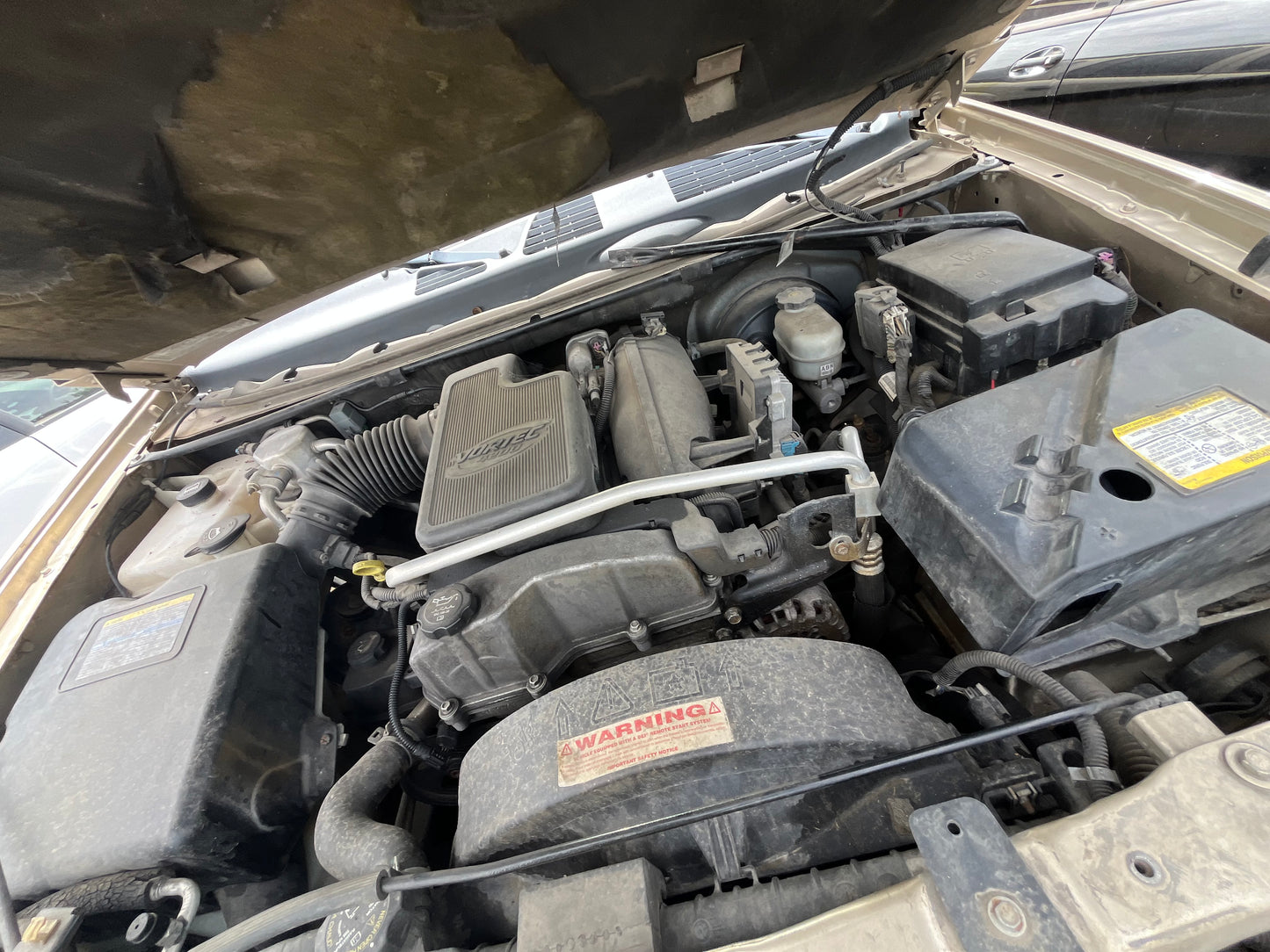 2006-2009 Chevrolet Trailblazer - Stock #: M18994