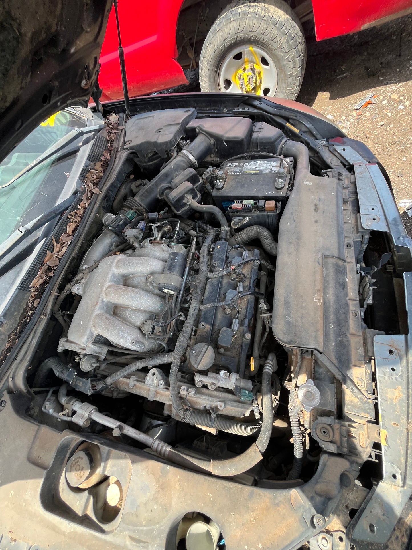 2004 NISSAN MAXIMA - STOCK #M19115