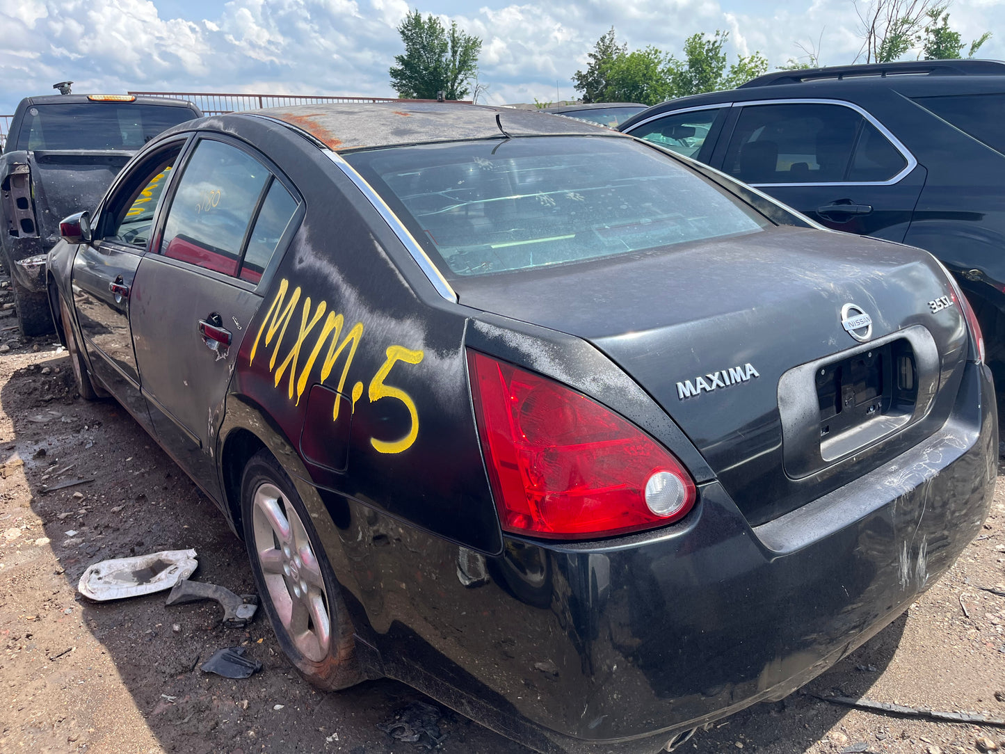 2004 NISSAN MAXIMA - STOCK #M19115