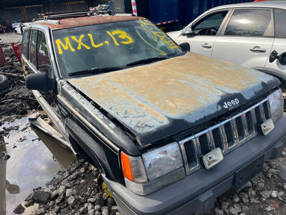 1995 Jeep Grand Cherokee - Stock #: M19103 - MXL-13