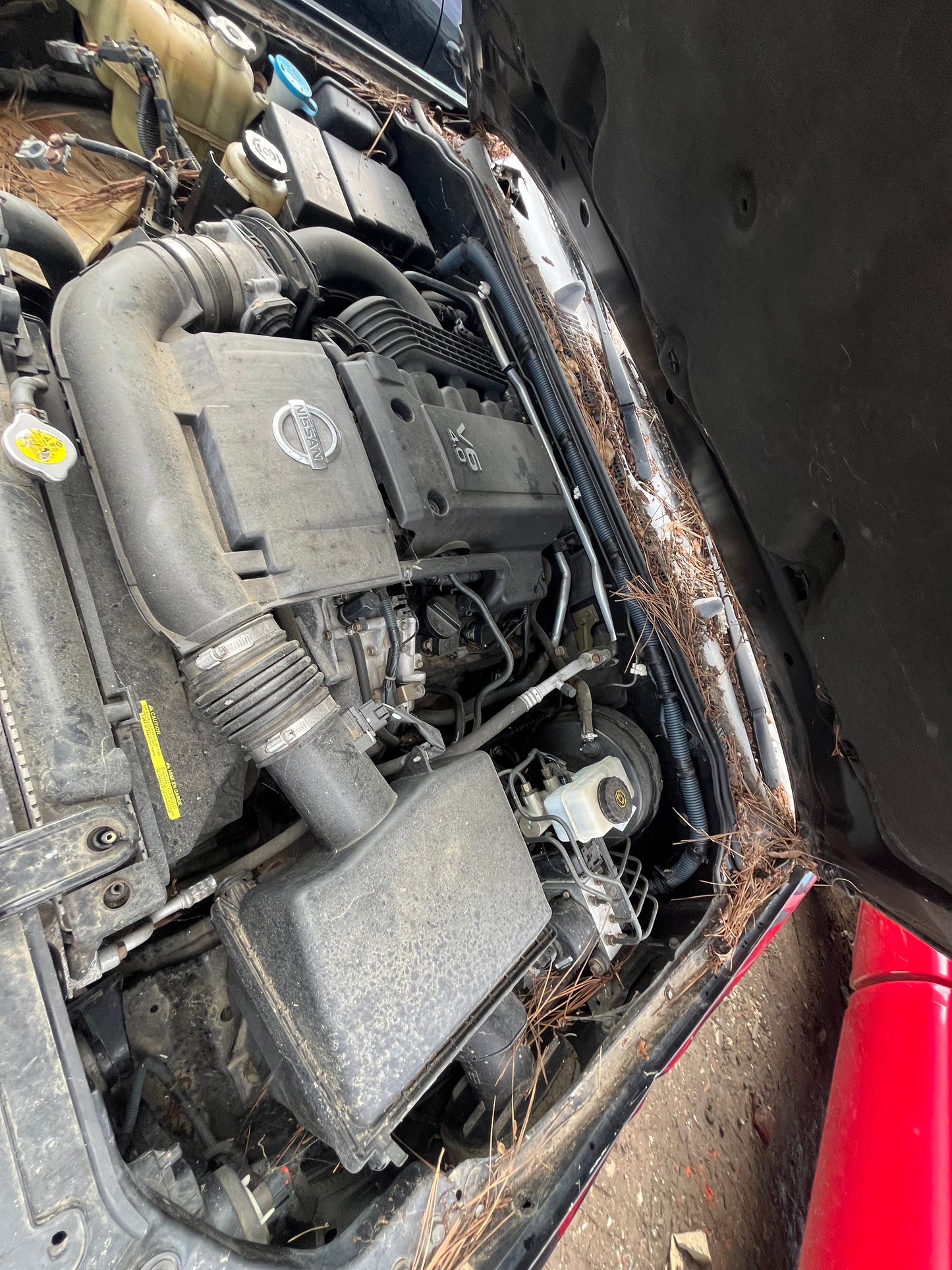 2006 NISSAN XTERRA - STOCK #M19114