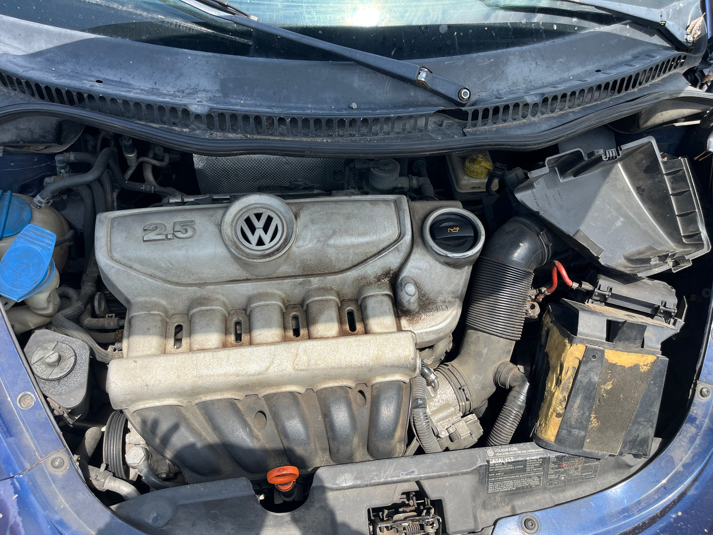2006-2010 Volkswagen Beetle - Stock #: M19097