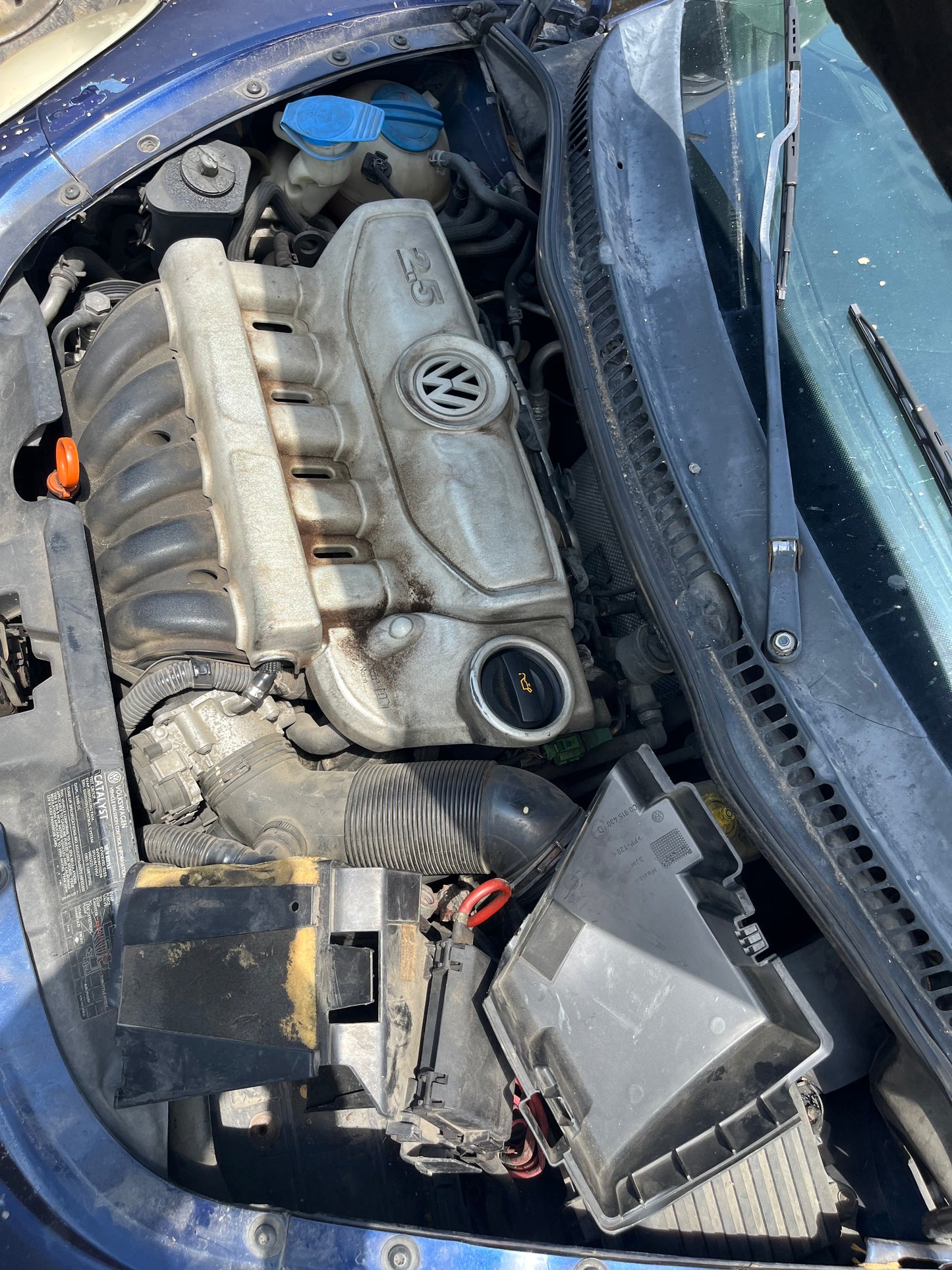 2006-2010 Volkswagen Beetle - Stock #: M19097