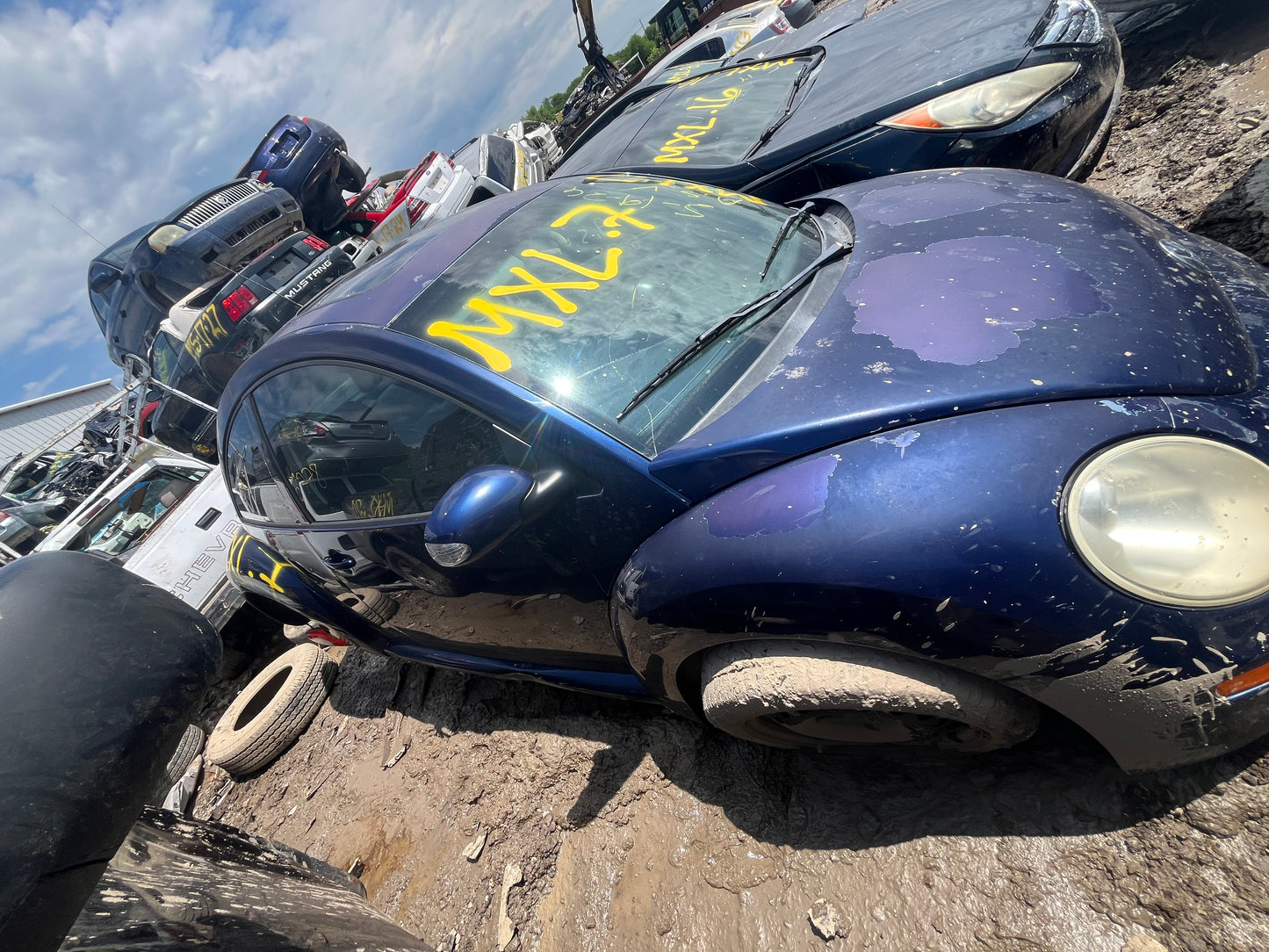 2006-2010 Volkswagen Beetle - Stock #: M19097