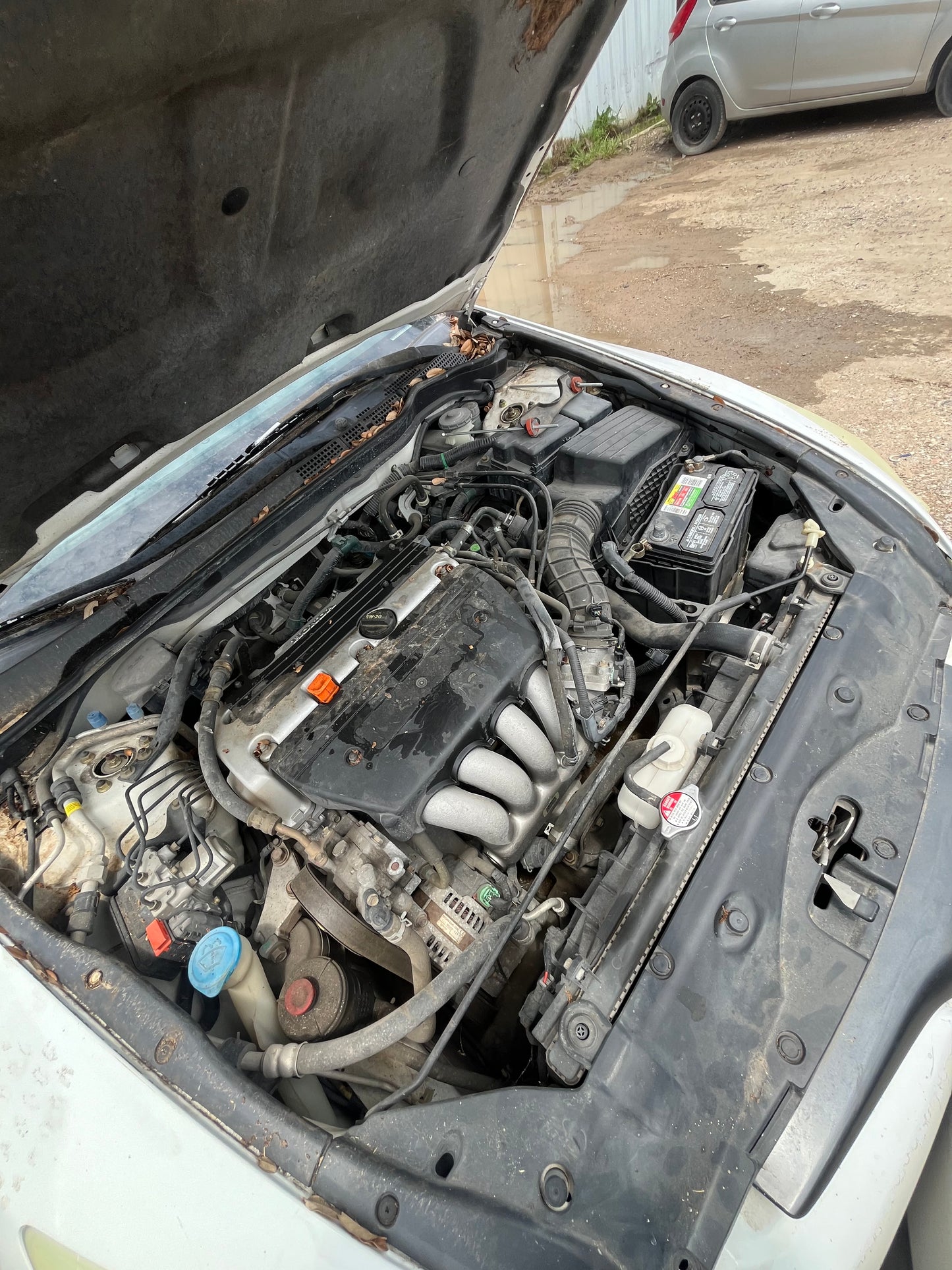 2004 HONDA ACCORD - STOCK #M19118