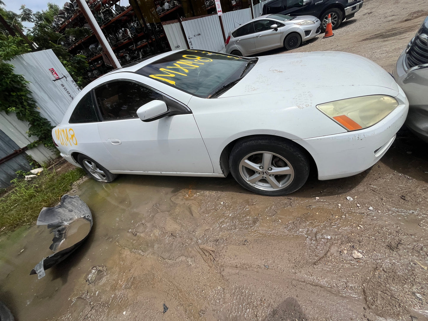 2004 HONDA ACCORD - STOCK #M19118