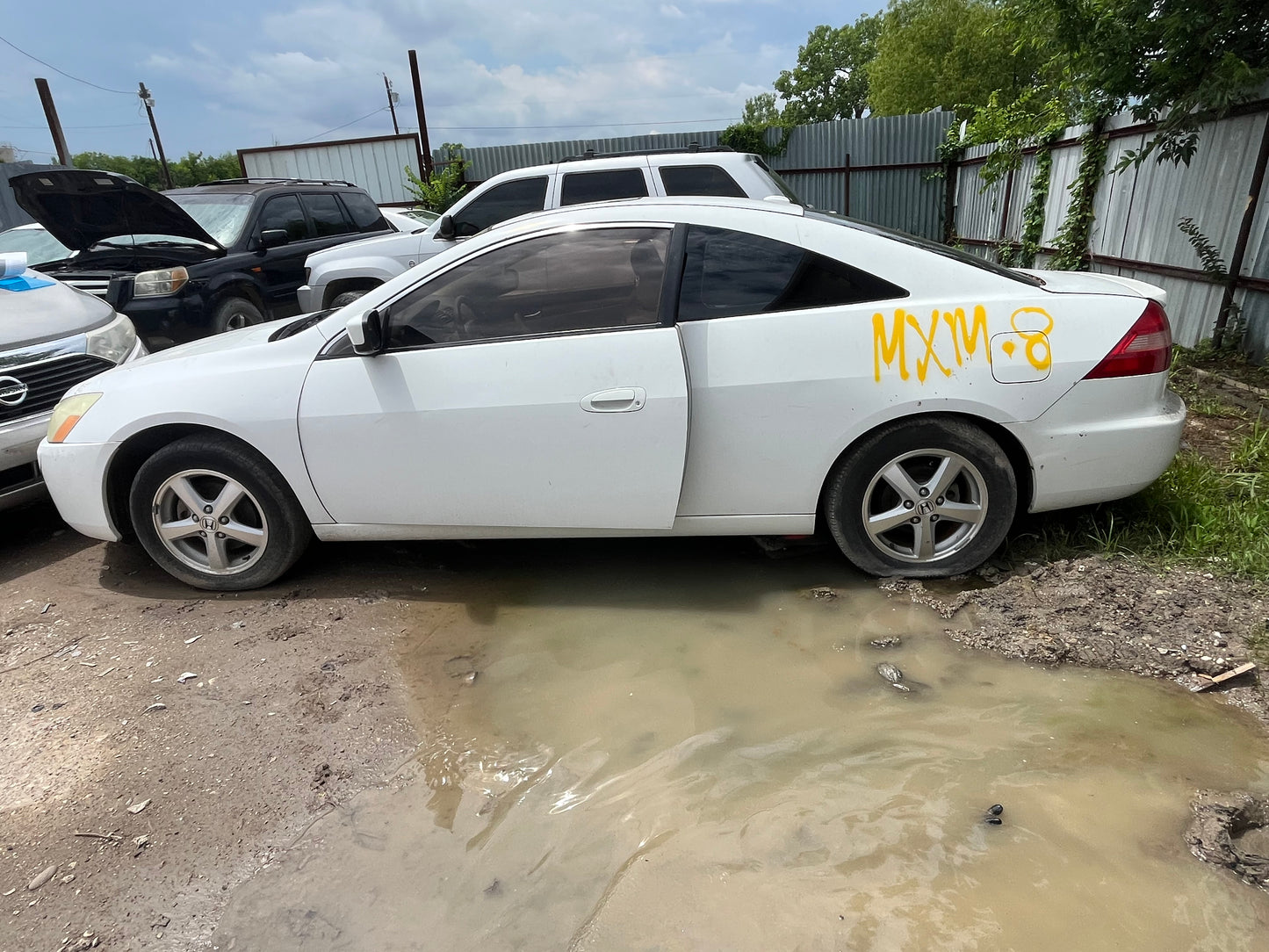 2004 HONDA ACCORD - STOCK #M19118