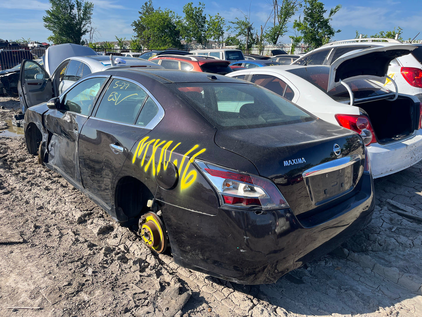 2009-2011 Nissan Maxima - Stock #: M19146