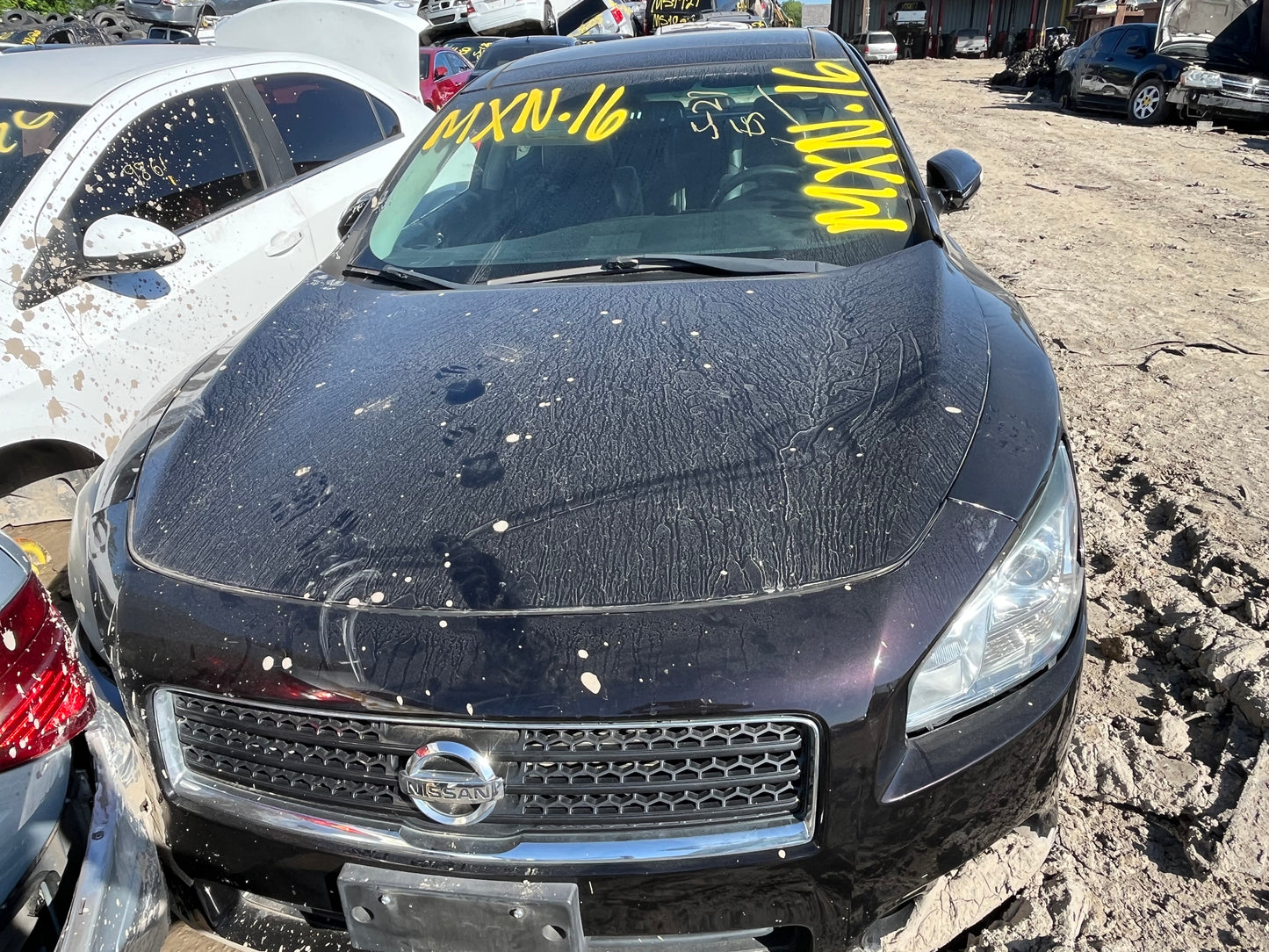 2009-2011 Nissan Maxima - Stock #: M19146