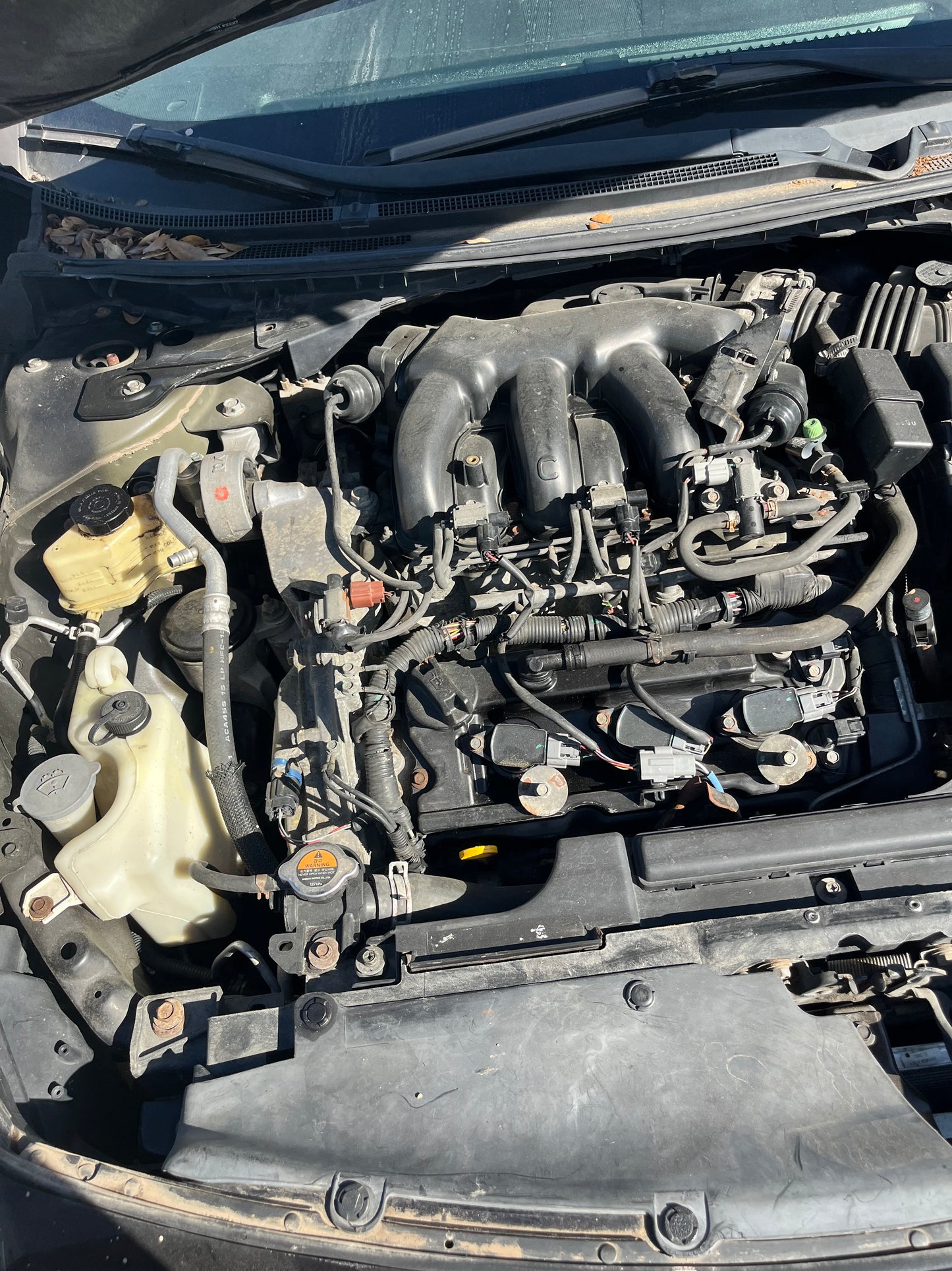 2009-2011 Nissan Maxima - Stock #: M19146