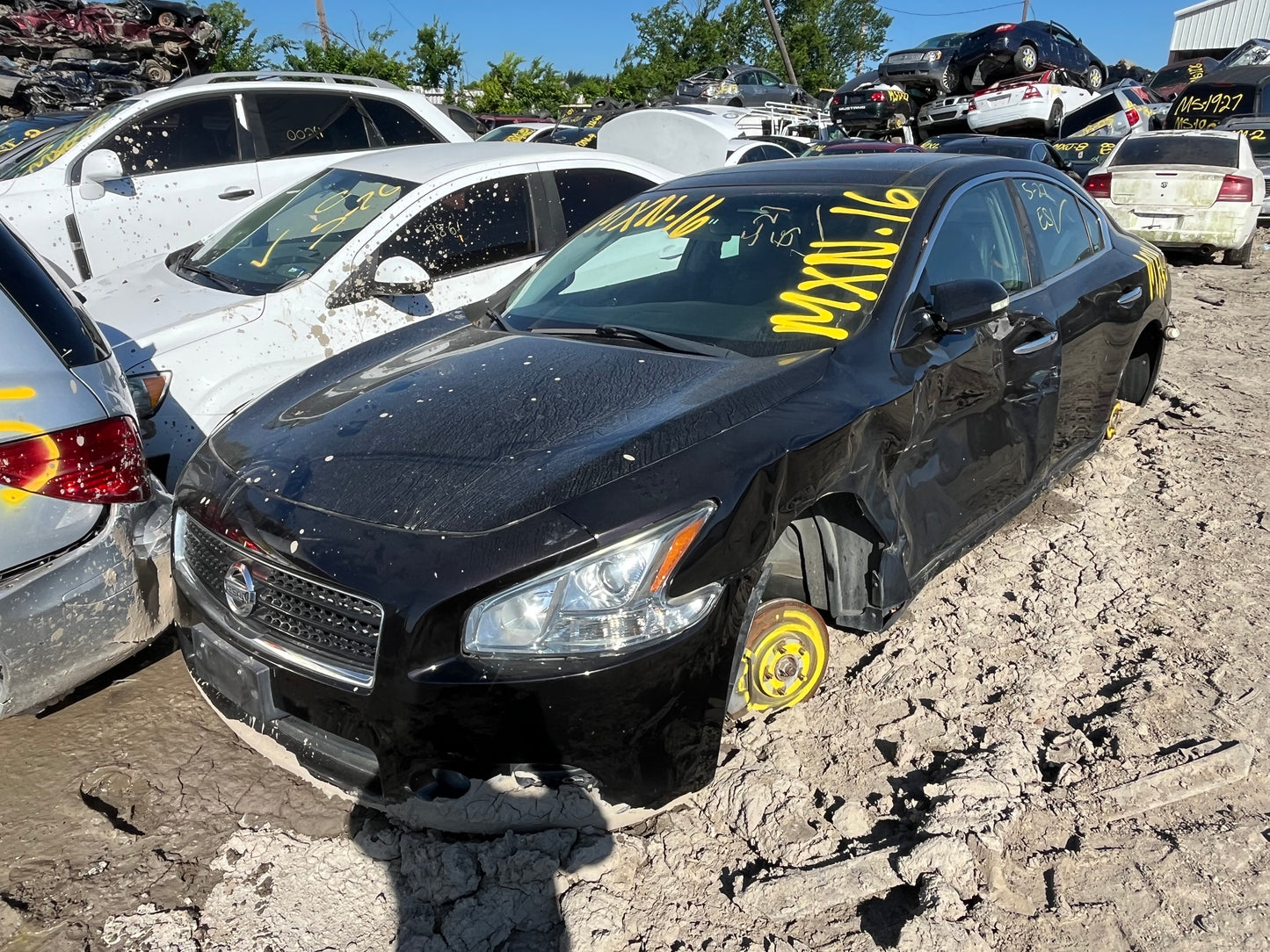 2009-2011 Nissan Maxima - Stock #: M19146