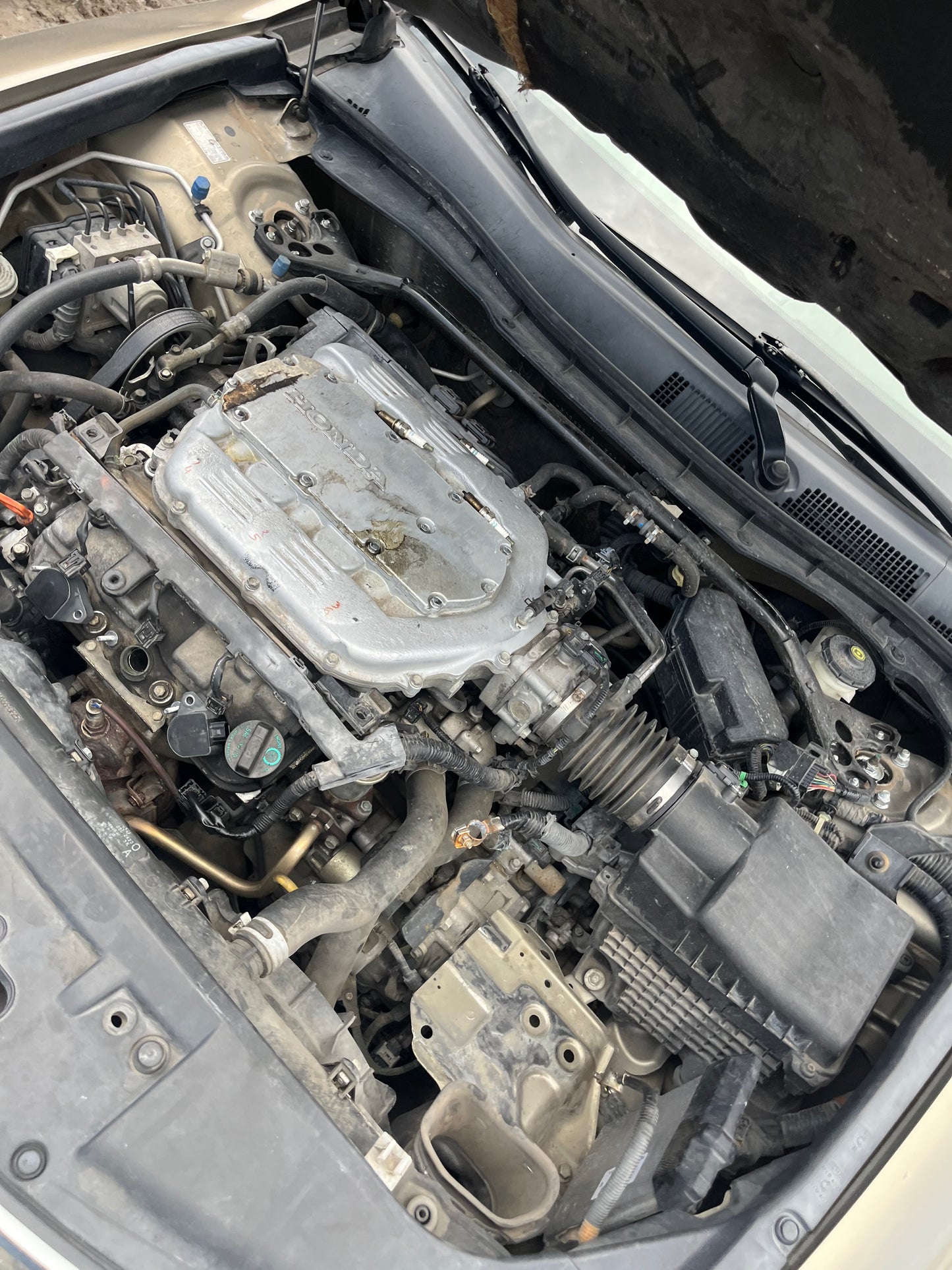 2008 HONDA ACCORD - STOCK #M19154