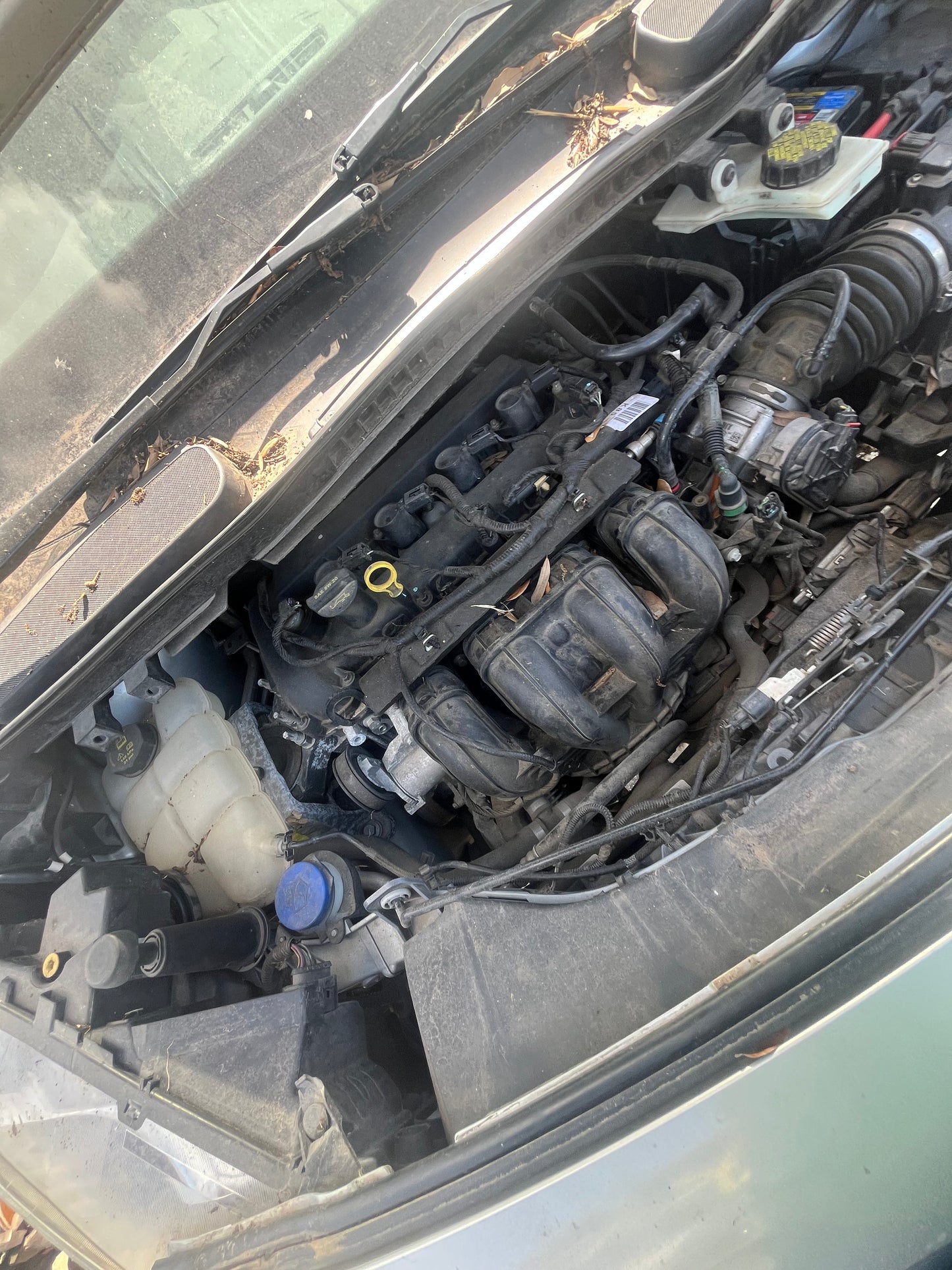 2014-2018 Ford Transit Connect - Stock #: M19141