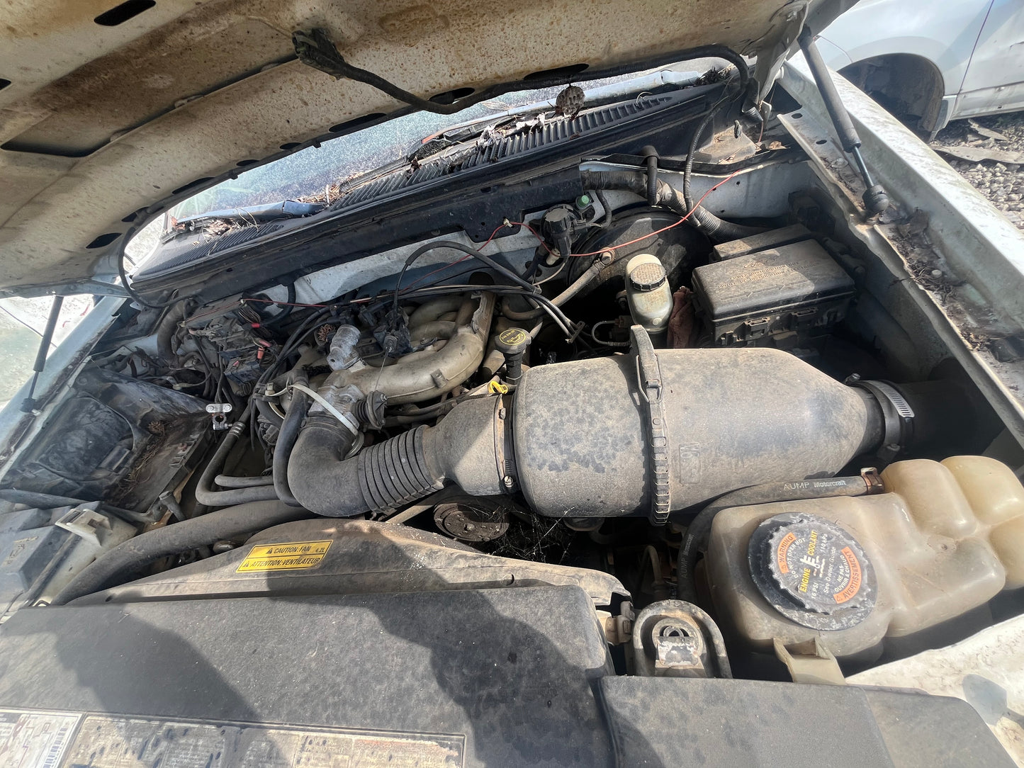 1998 FORD F150 - STOCK #M19159