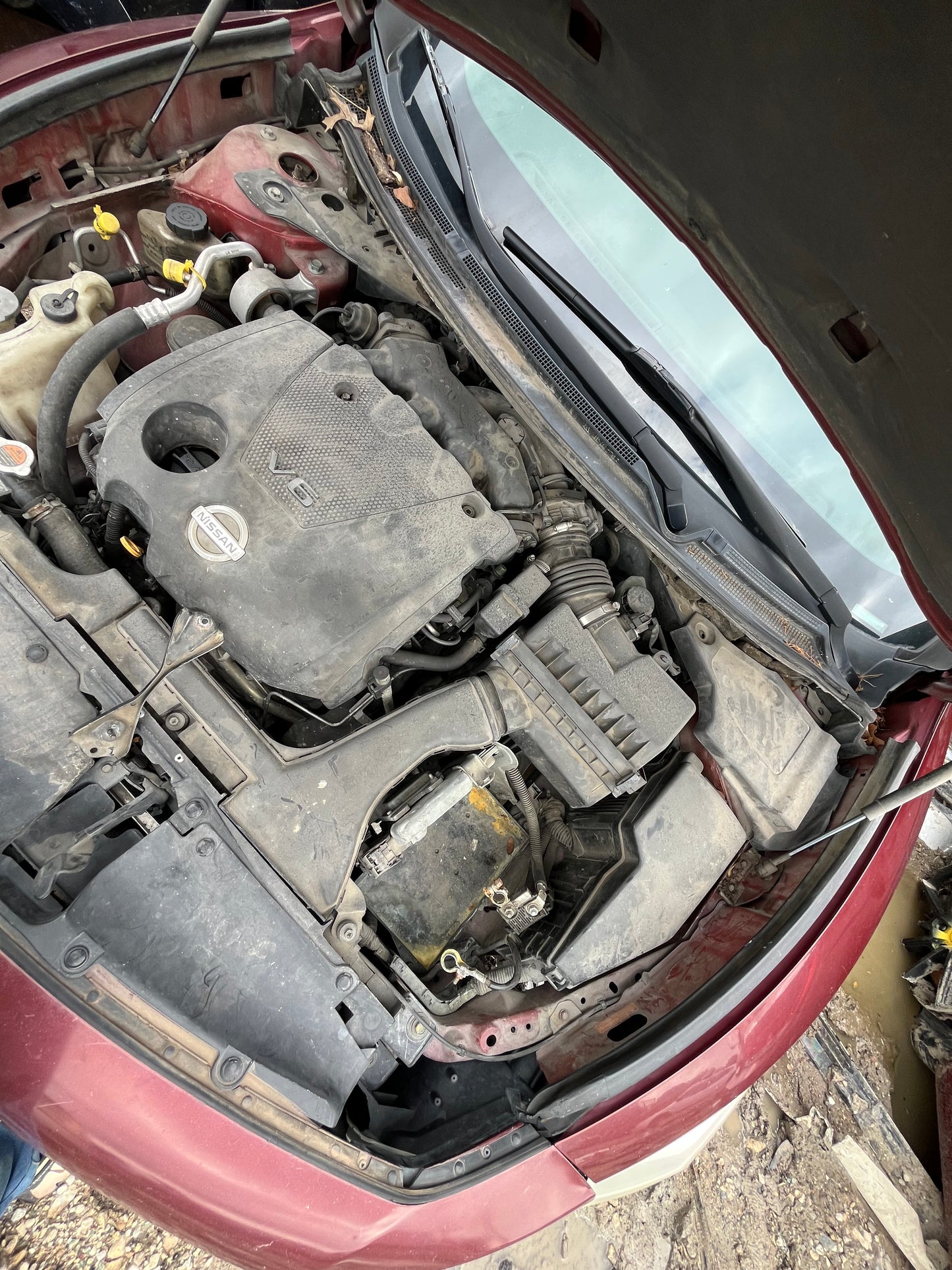 2009-2011 Nissan Maxima - Stock #: M19175