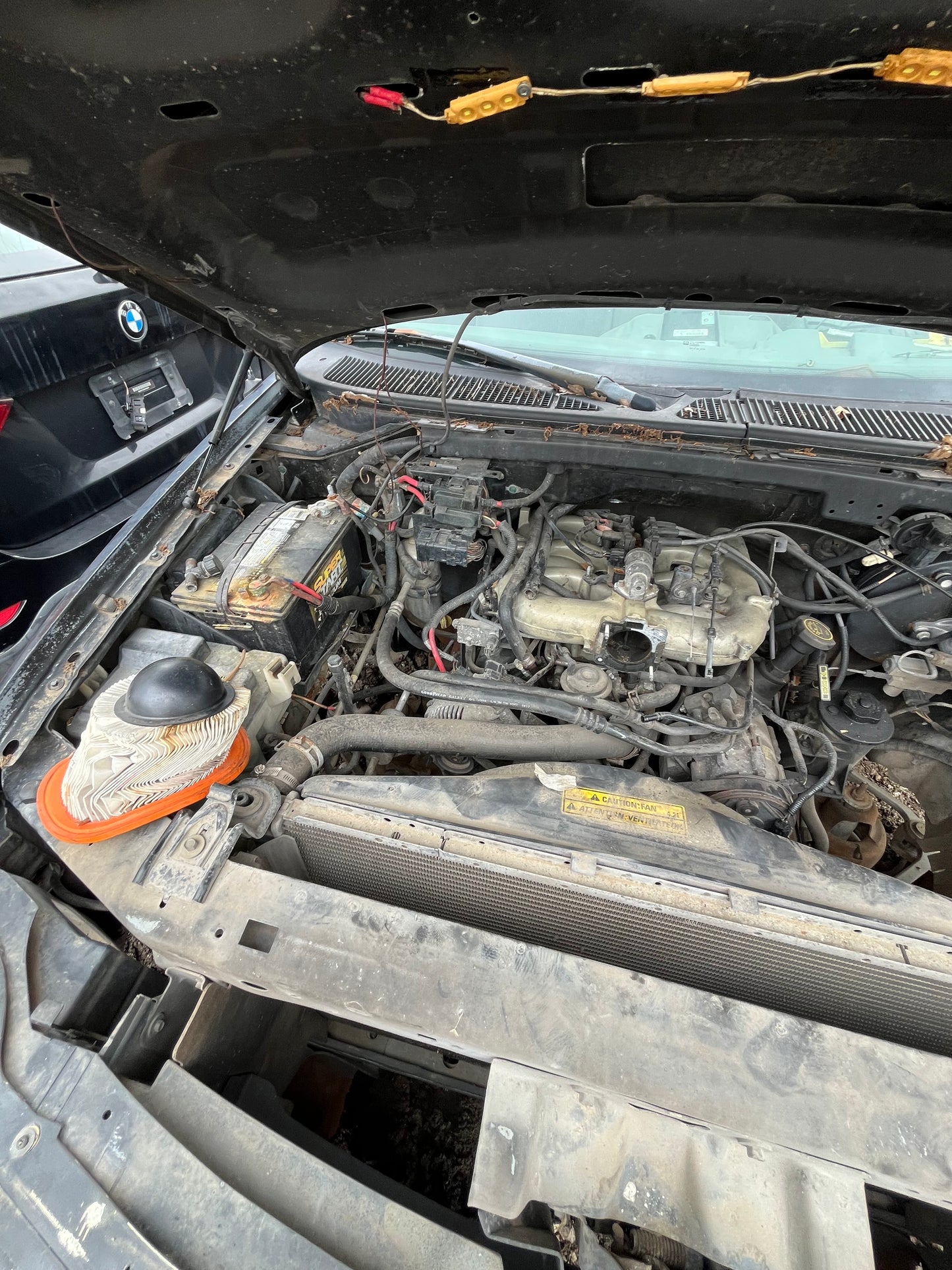 1998 FORD F150 - STOCK #M19191
