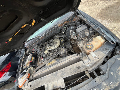 1998 FORD F150 - STOCK #M19191