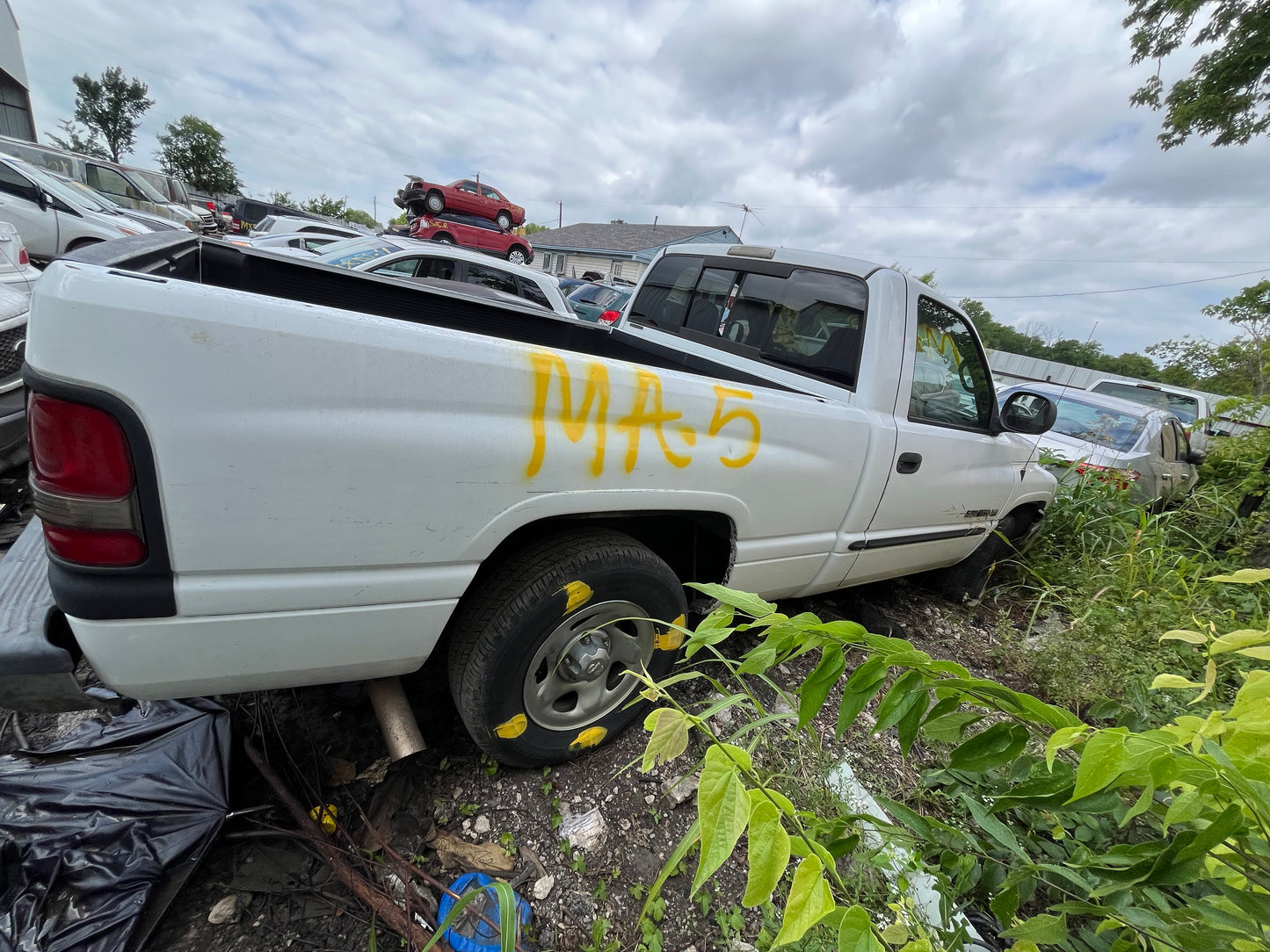 2001 DODGE RAM 1500 - STOCK #M19195