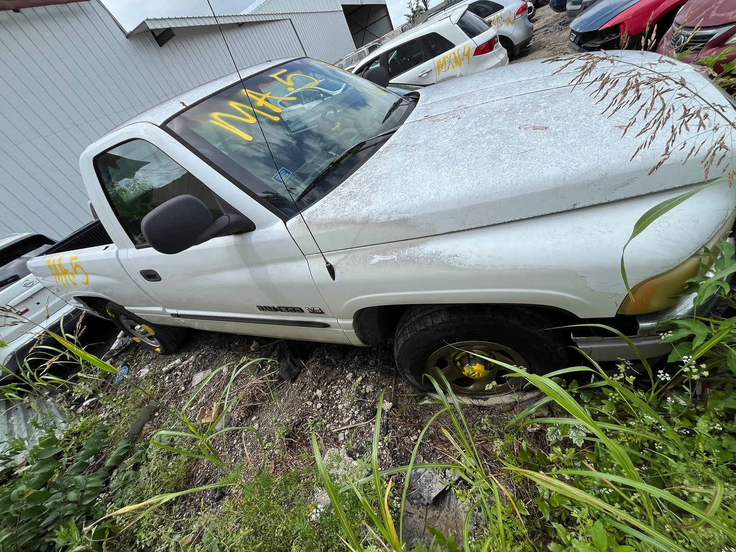 2001 DODGE RAM 1500 - STOCK #M19195