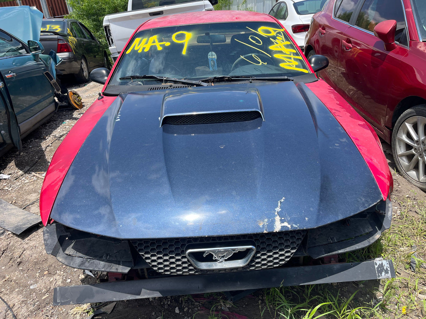 2004 FORD MUSTANG - STOCK #M19199