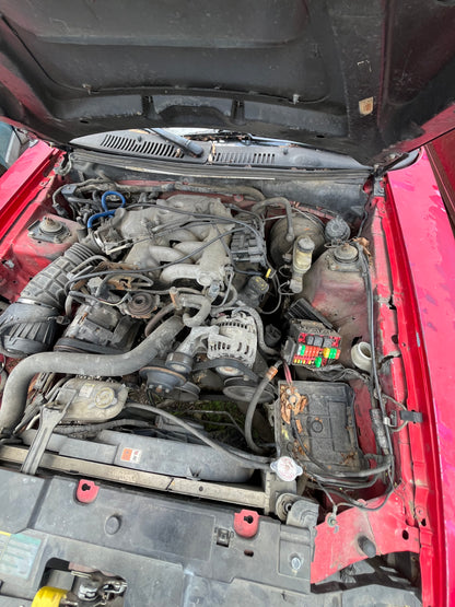 2004 FORD MUSTANG - STOCK #M19199