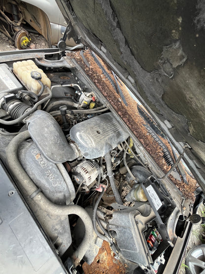 1999-2002 Chevrolet Silverado - Stock #: M19213