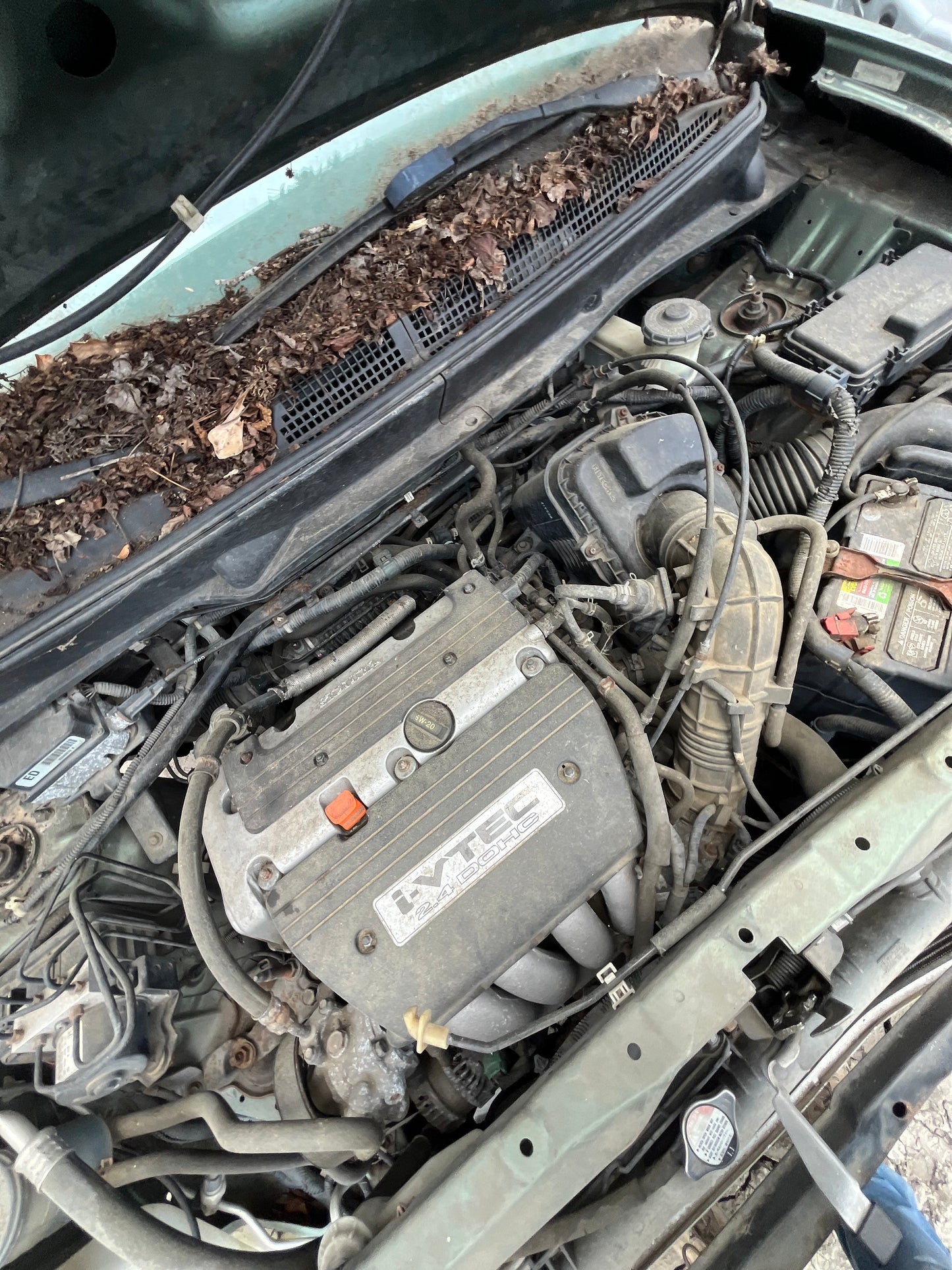 2003 - 2011 Honda Element - Stock #: M19224 MB-14