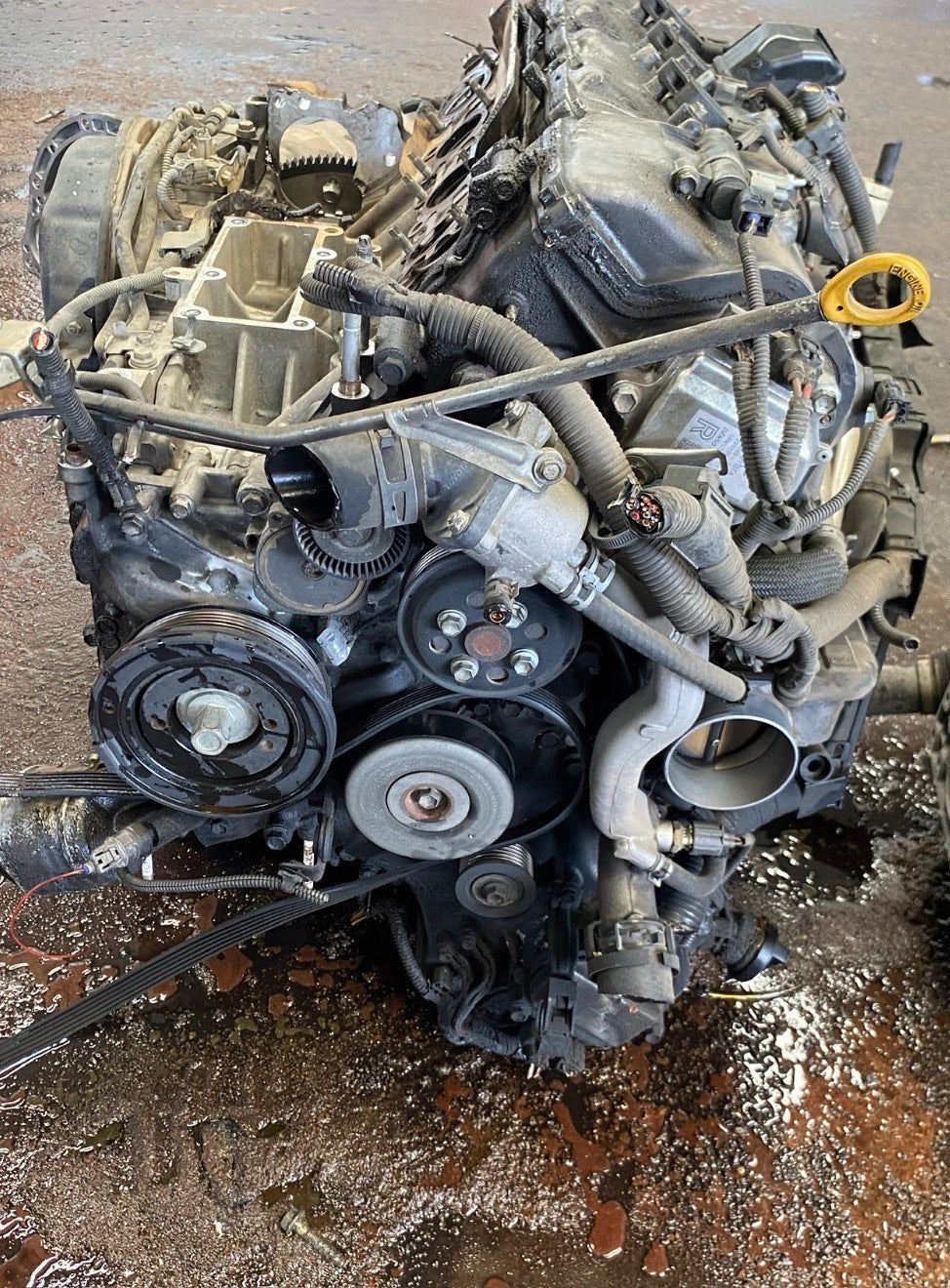 2007-2011 Lexus LS460 - 4.6 L Engine -#M19095