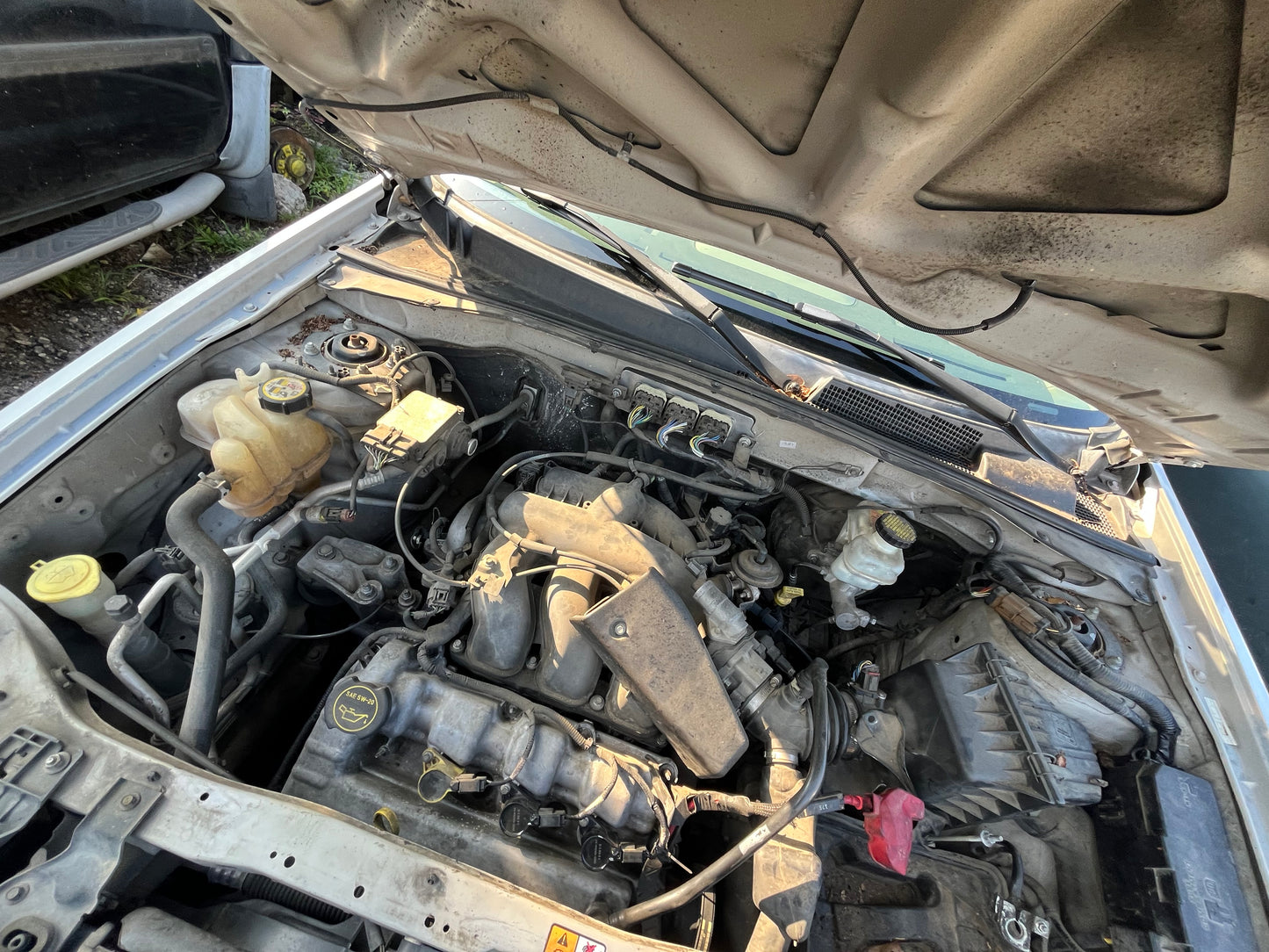 2008-2010 Ford Escape - Stock #: M19276