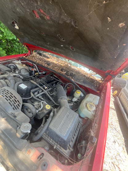 1996-1998 Jeep Grand Cherokee - Stock #: M19279
