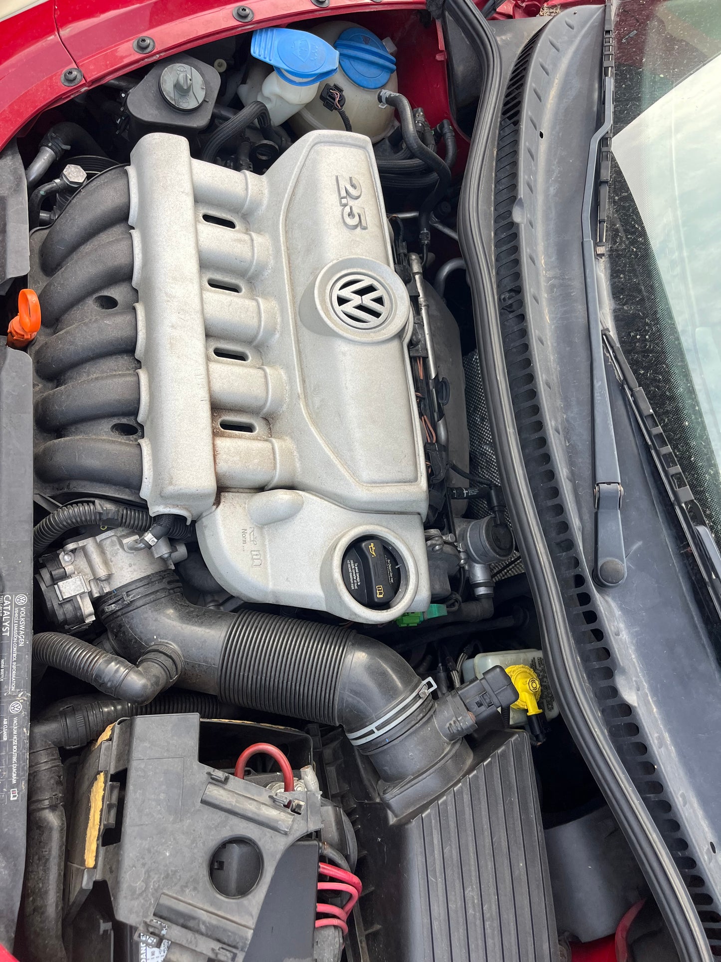 2007 VOLKSWAGEN BEETLE - STOCK #M19235
