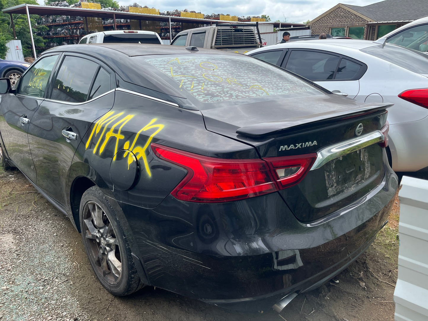 2016-2023 NISSAN MAXIMA - PARTING OUT-MA-12 - Stock #:M19202