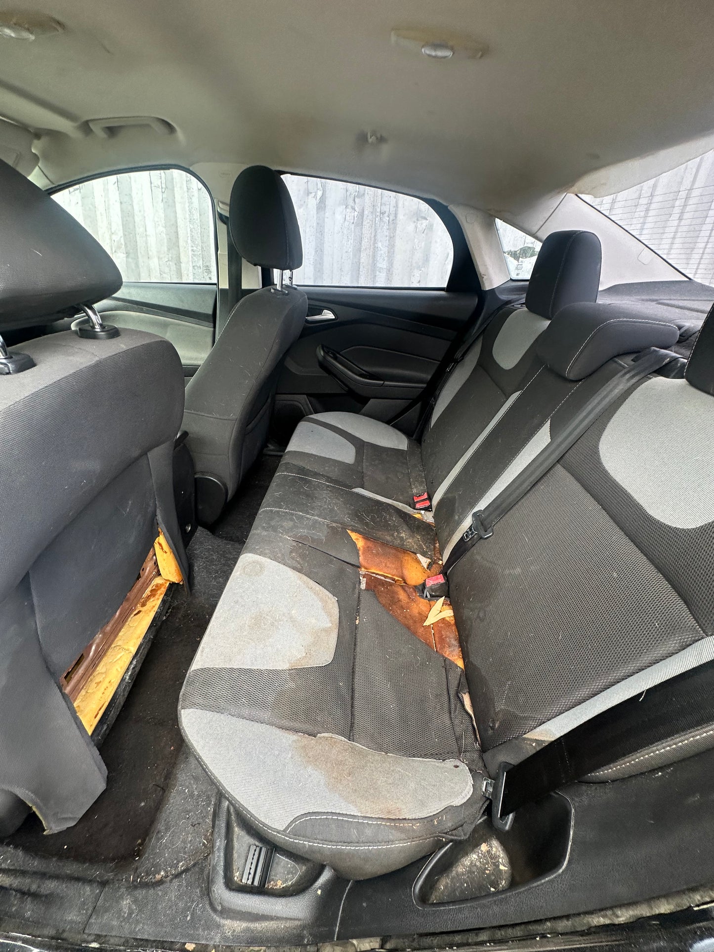 2014 FORD FOCUS - STOCK #M19392